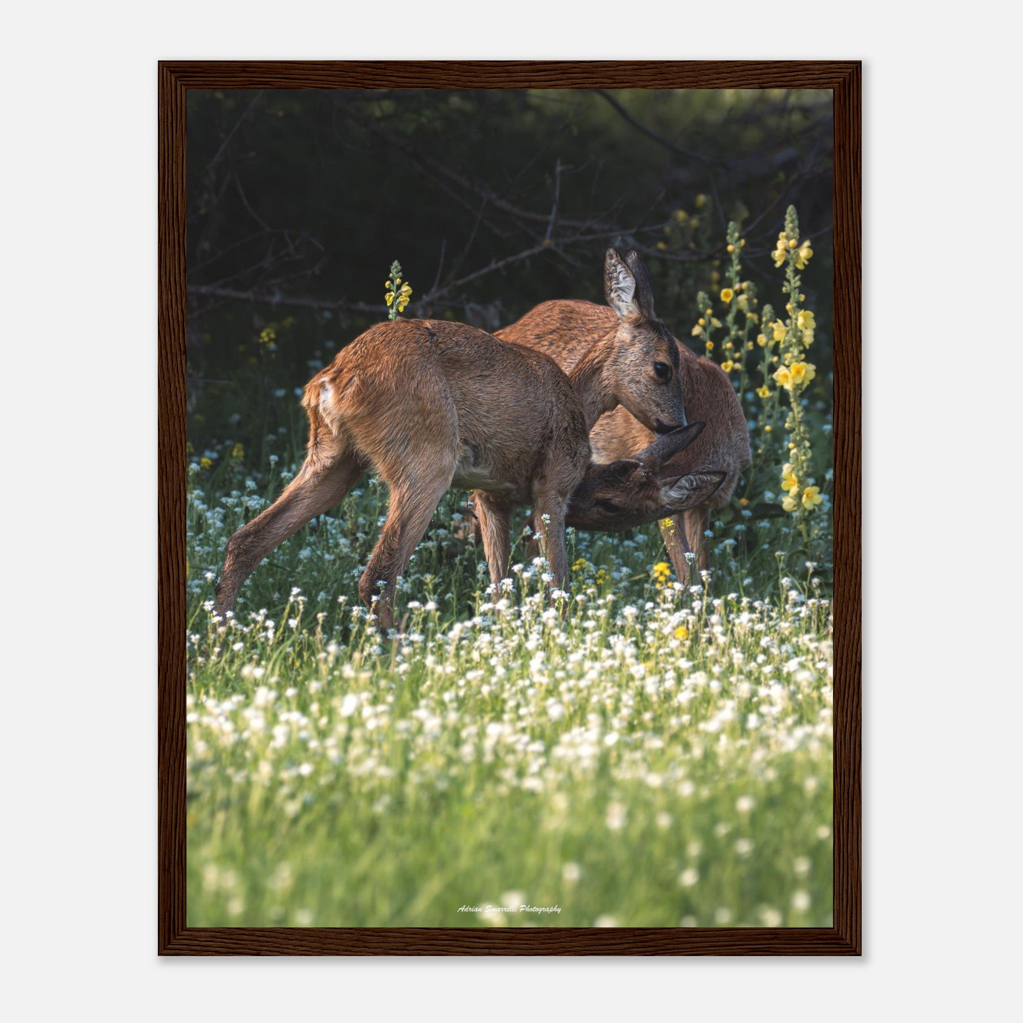 8d96a366-3fc2-4cce-8bd4-60a73bc17671