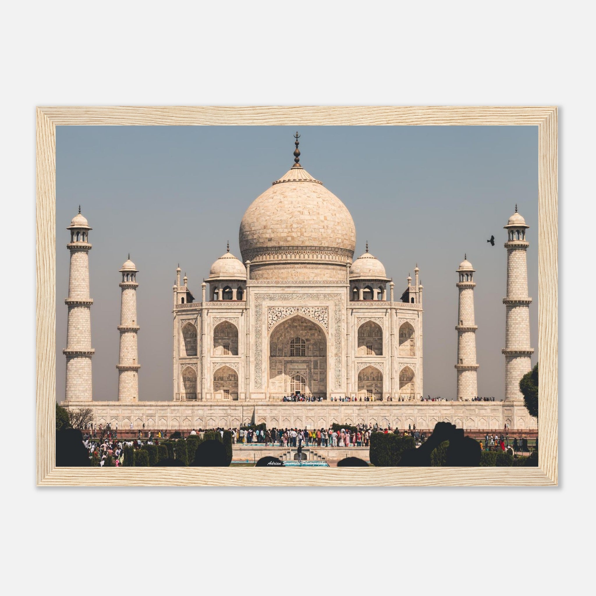 8ea274bd-b8d4-4d8d-9920-87f83e9503b5