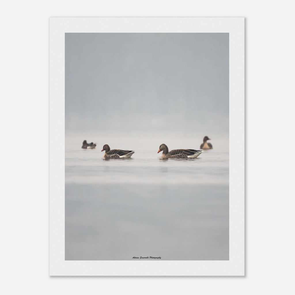 9001e22f-07e2-4e1e-9bae-7f874dd7a476