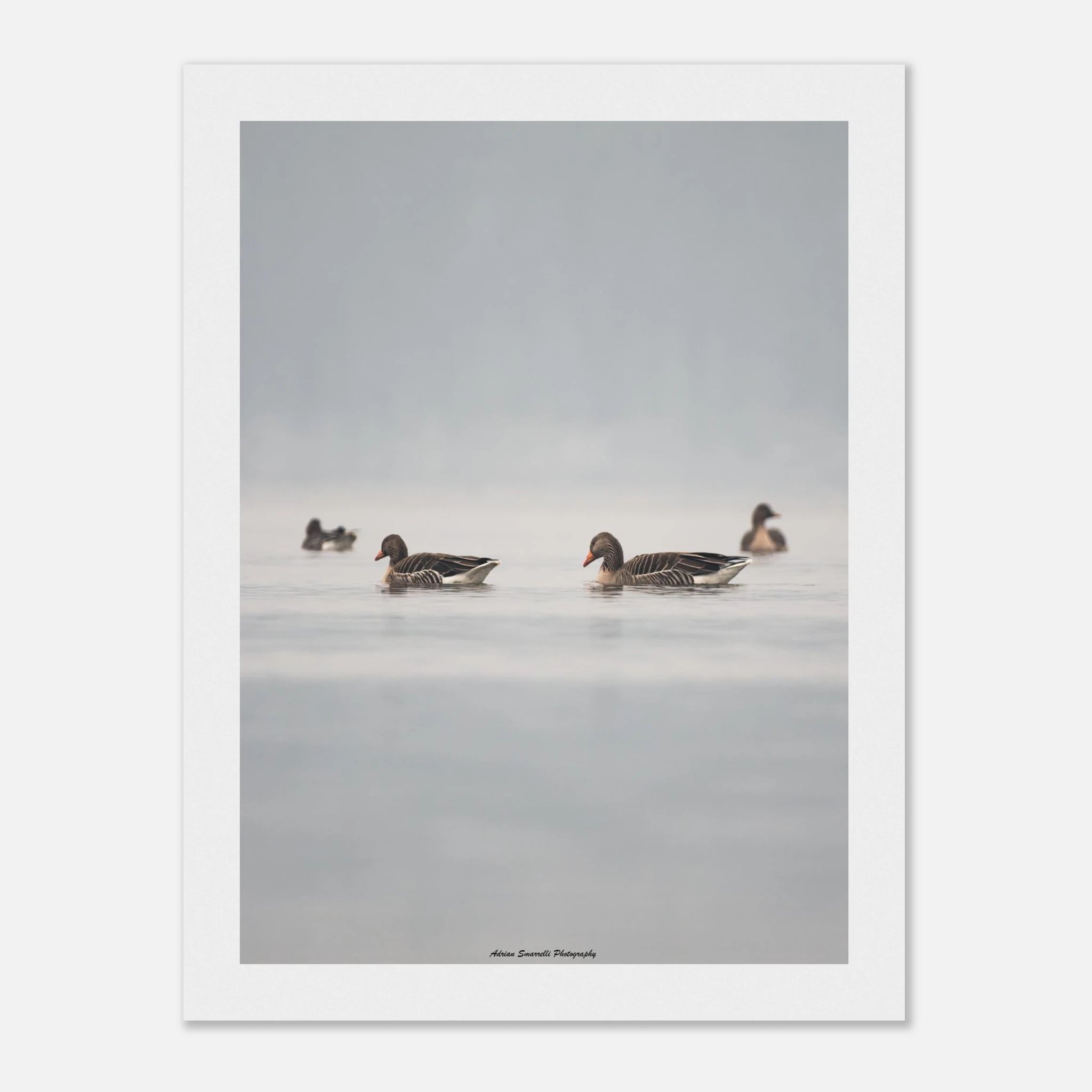 9001e22f-07e2-4e1e-9bae-7f874dd7a476