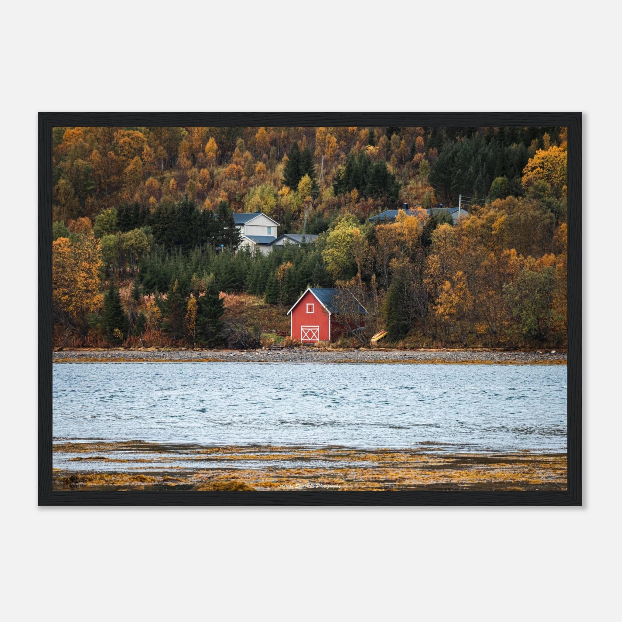 9047f887-f36e-4d85-8729-8f945b24285c