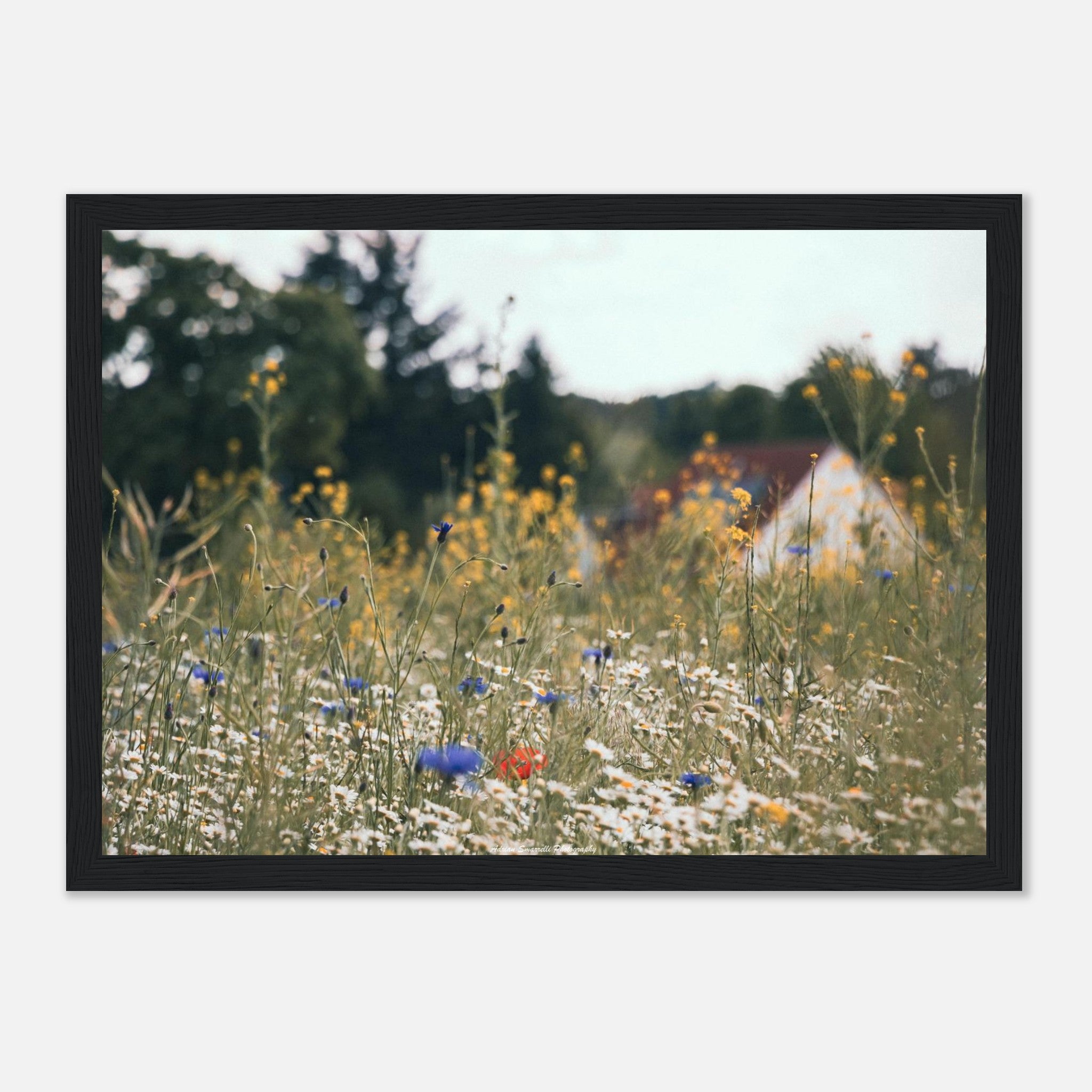 906e4b12-d0b4-4403-82bc-162009ea6ffe