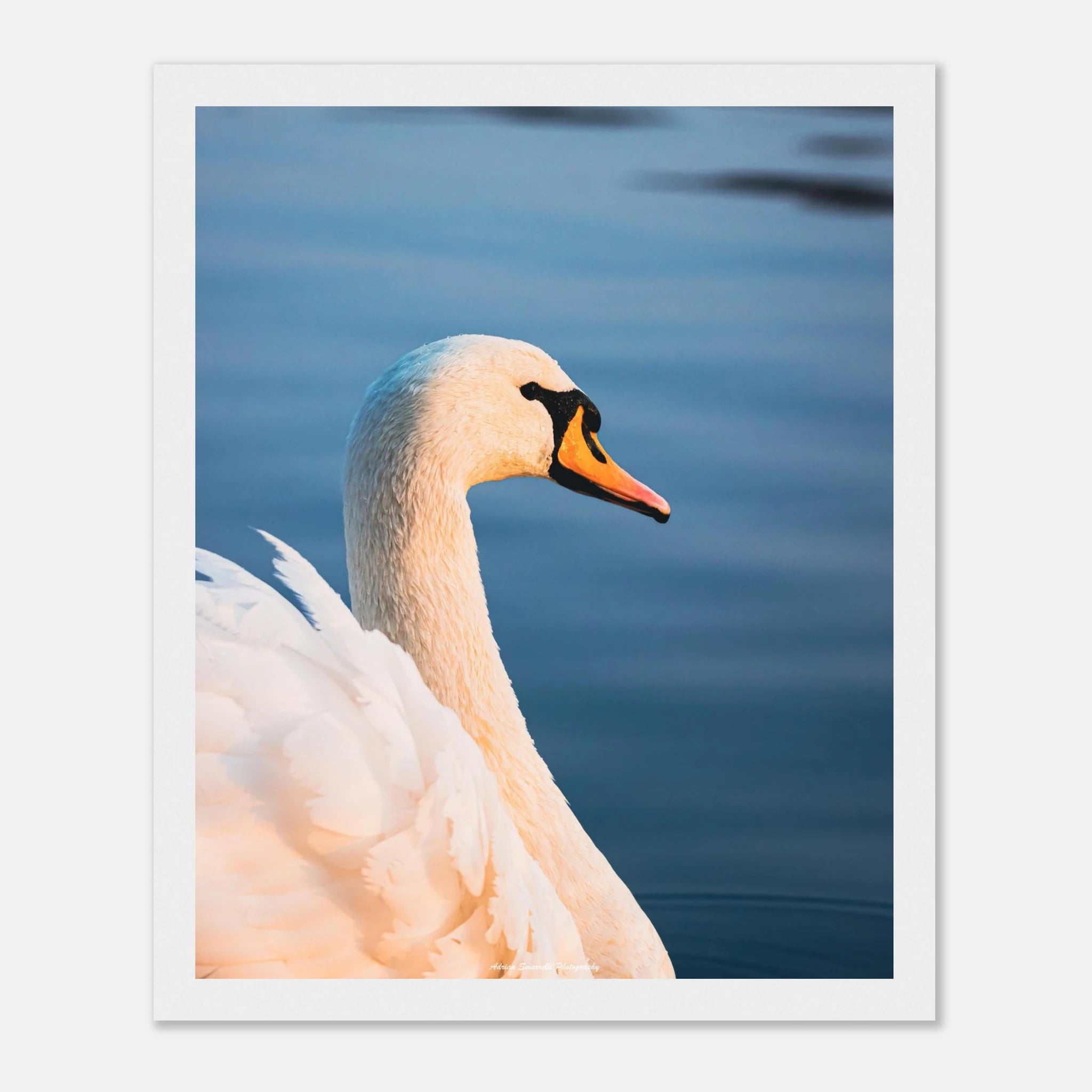 91a3405d-0d83-414a-8236-b42073bd9926