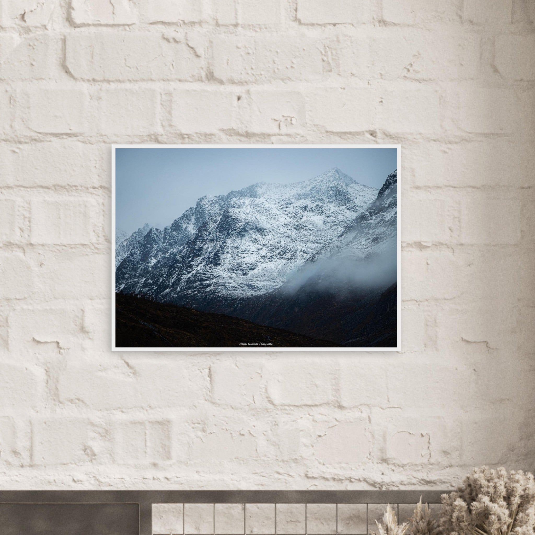 92bc0add-2d83-4f23-8ed4-ba62612c6205