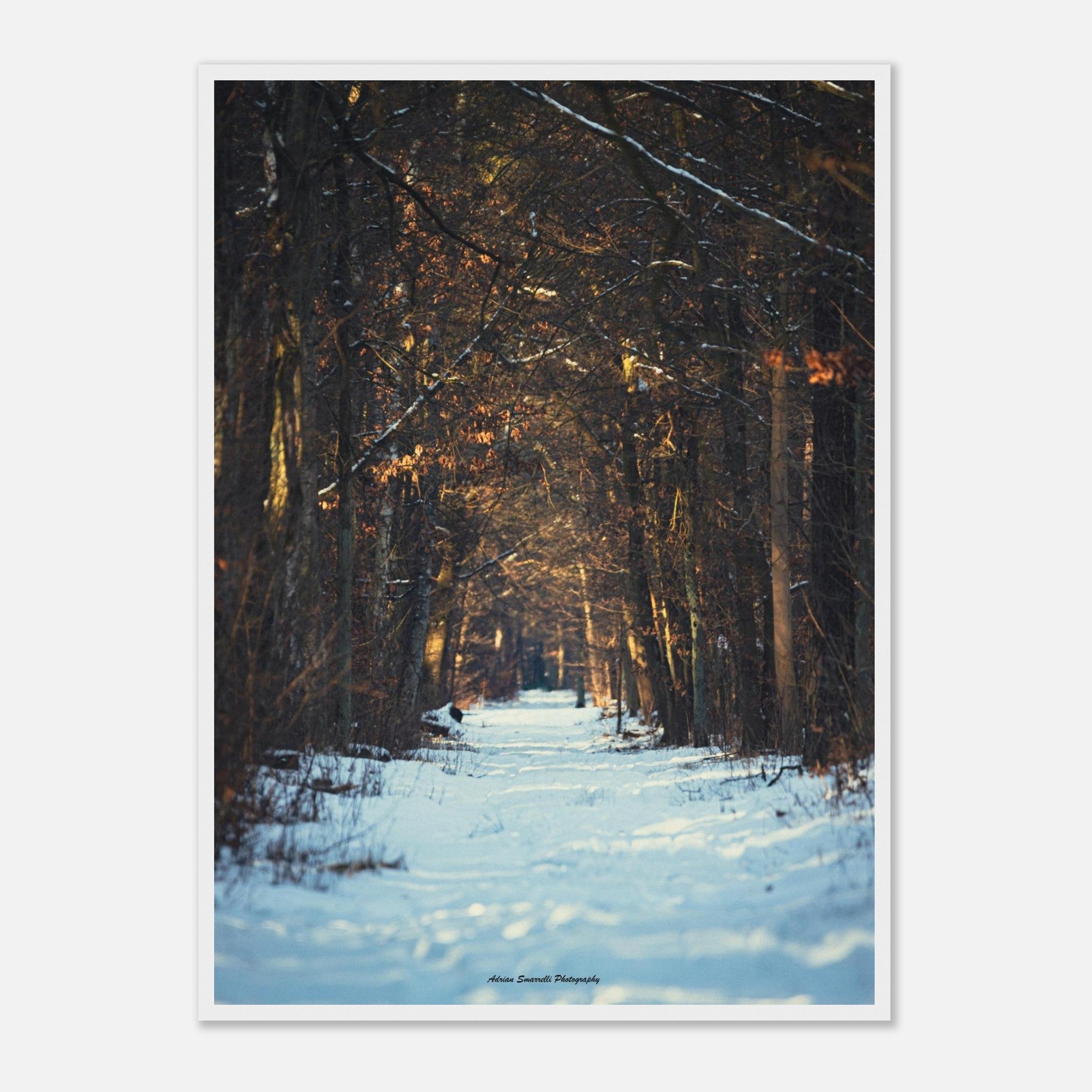 93c2f6c1-23e3-4731-8cda-ccacb4d40f16