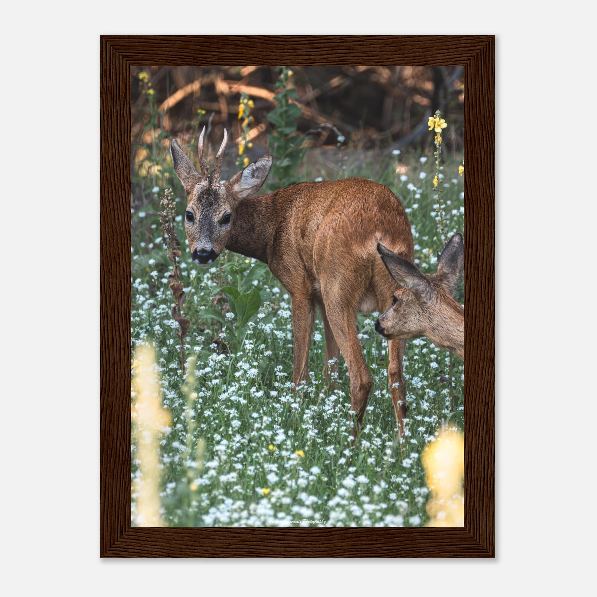 940e5d72-0566-48cb-8cd7-04de2f2067aa