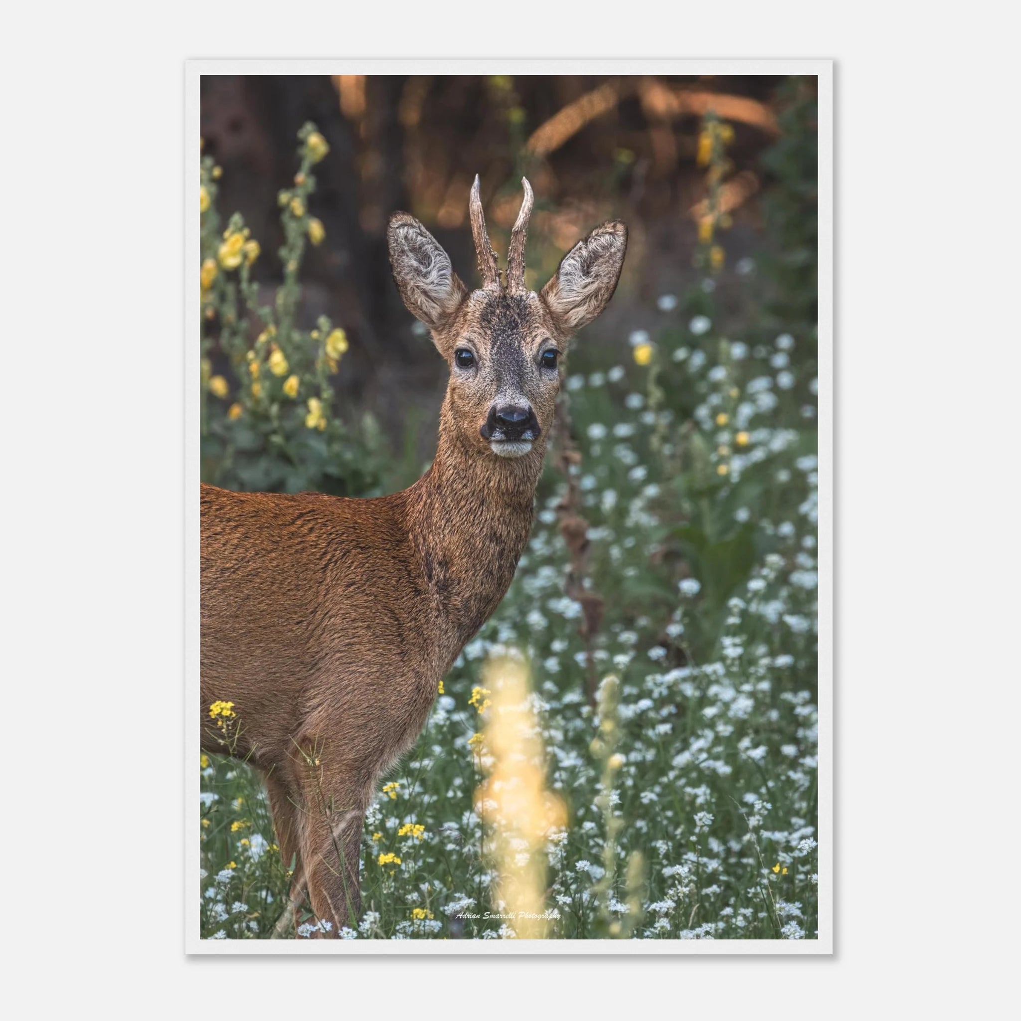 950446f3-087b-4696-89a6-da8032115a40