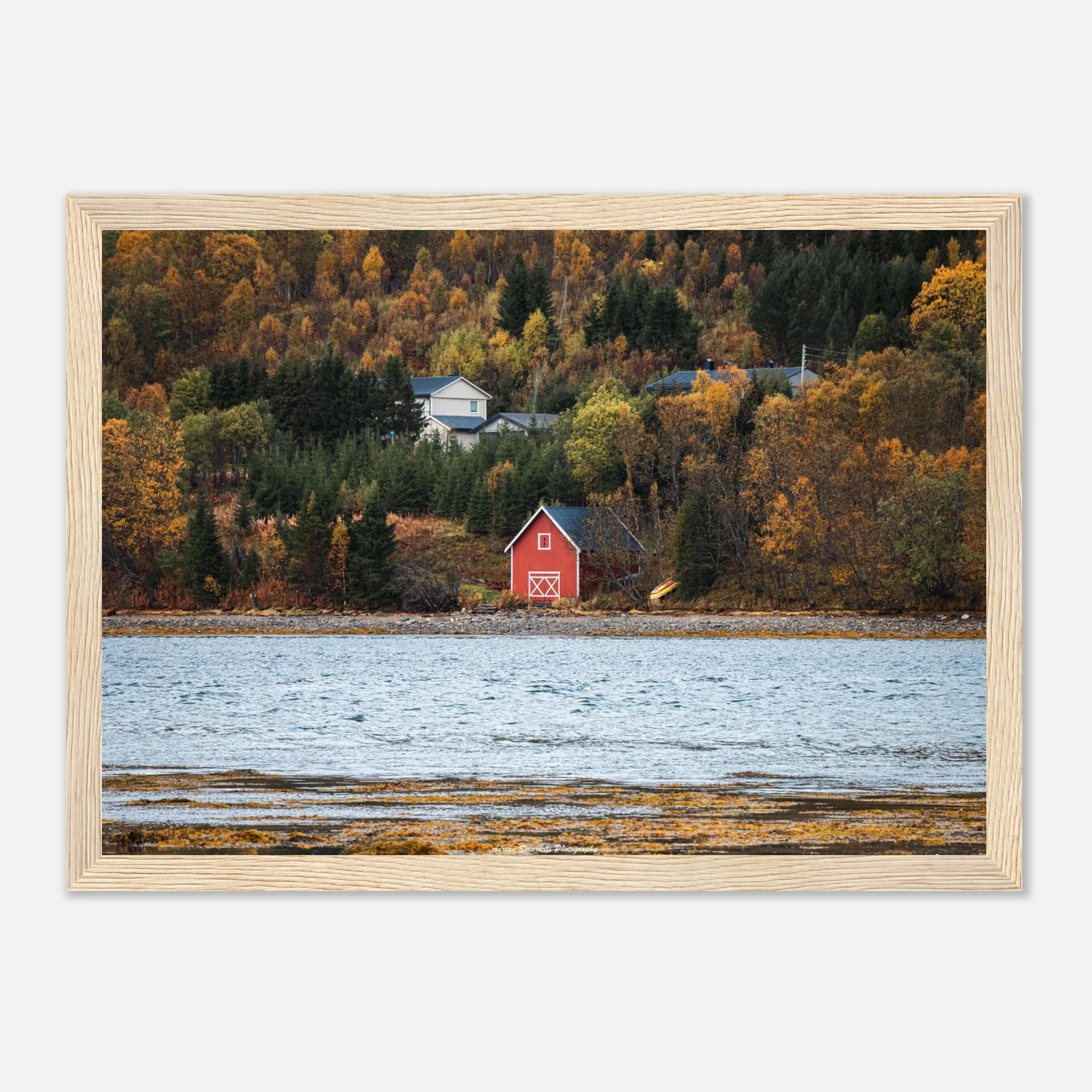 9555f614-091b-409b-b8d2-09d5618767ee