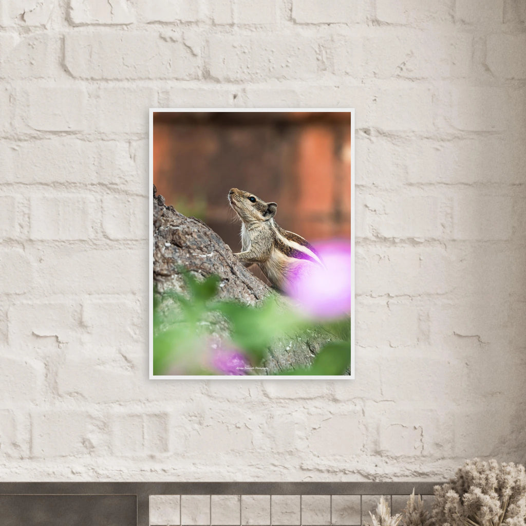 96767a9d-b27a-49f2-ad36-067f28f32e97