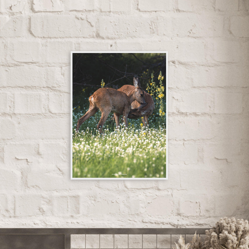 972d27e5-85f8-4a5a-8691-d57cbb4442d9