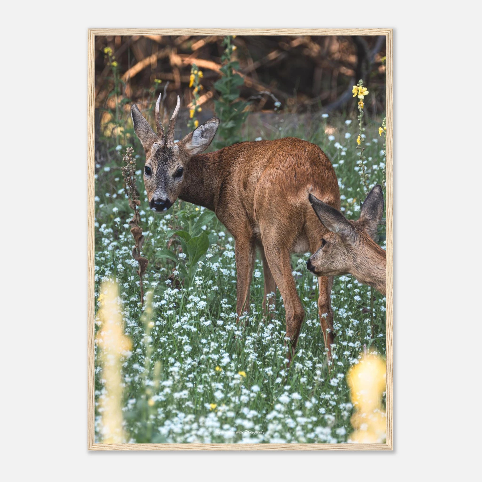 9834436a-3eec-4927-bef7-557398514b5f