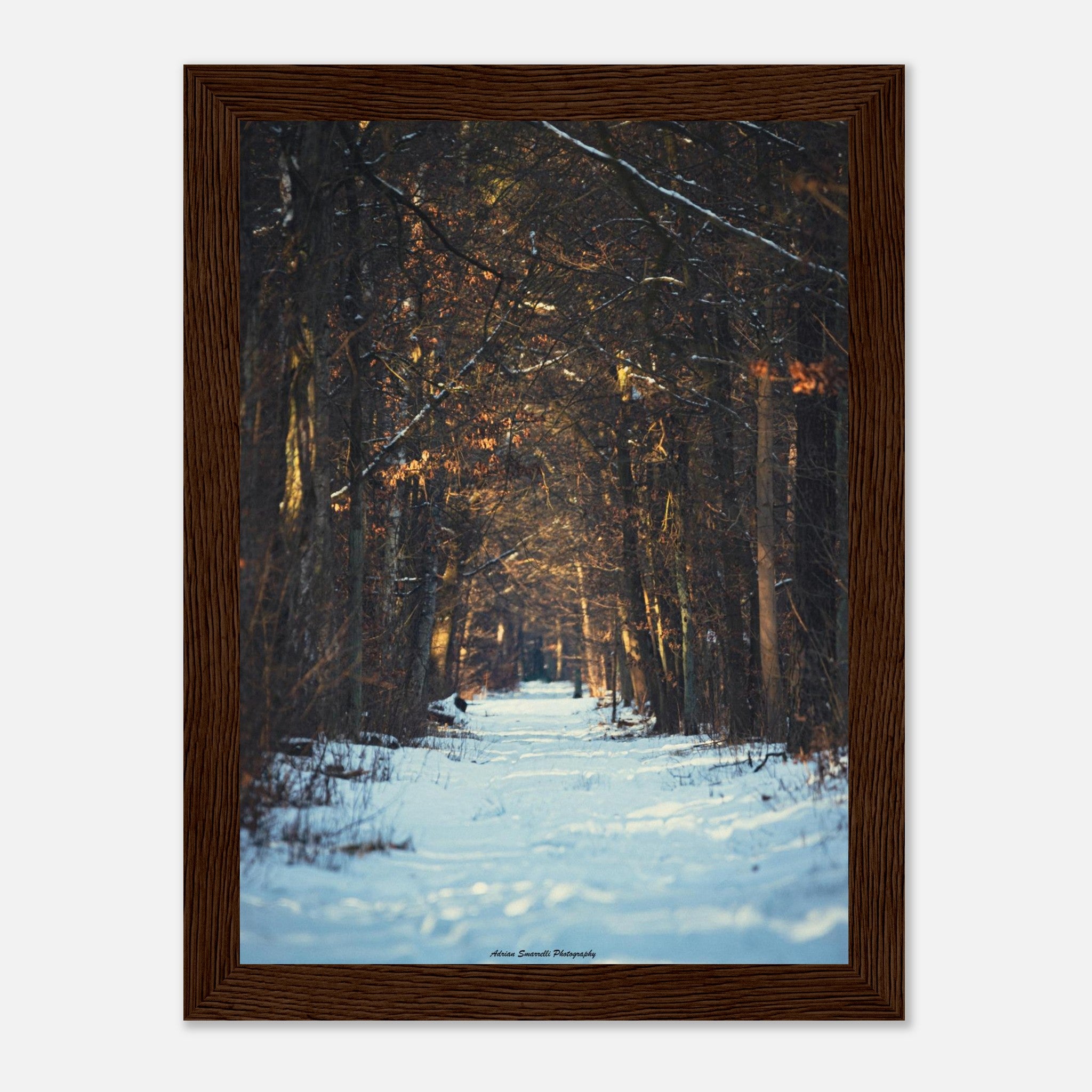 988241f9-f0e2-4510-b19d-821423a5a3eb