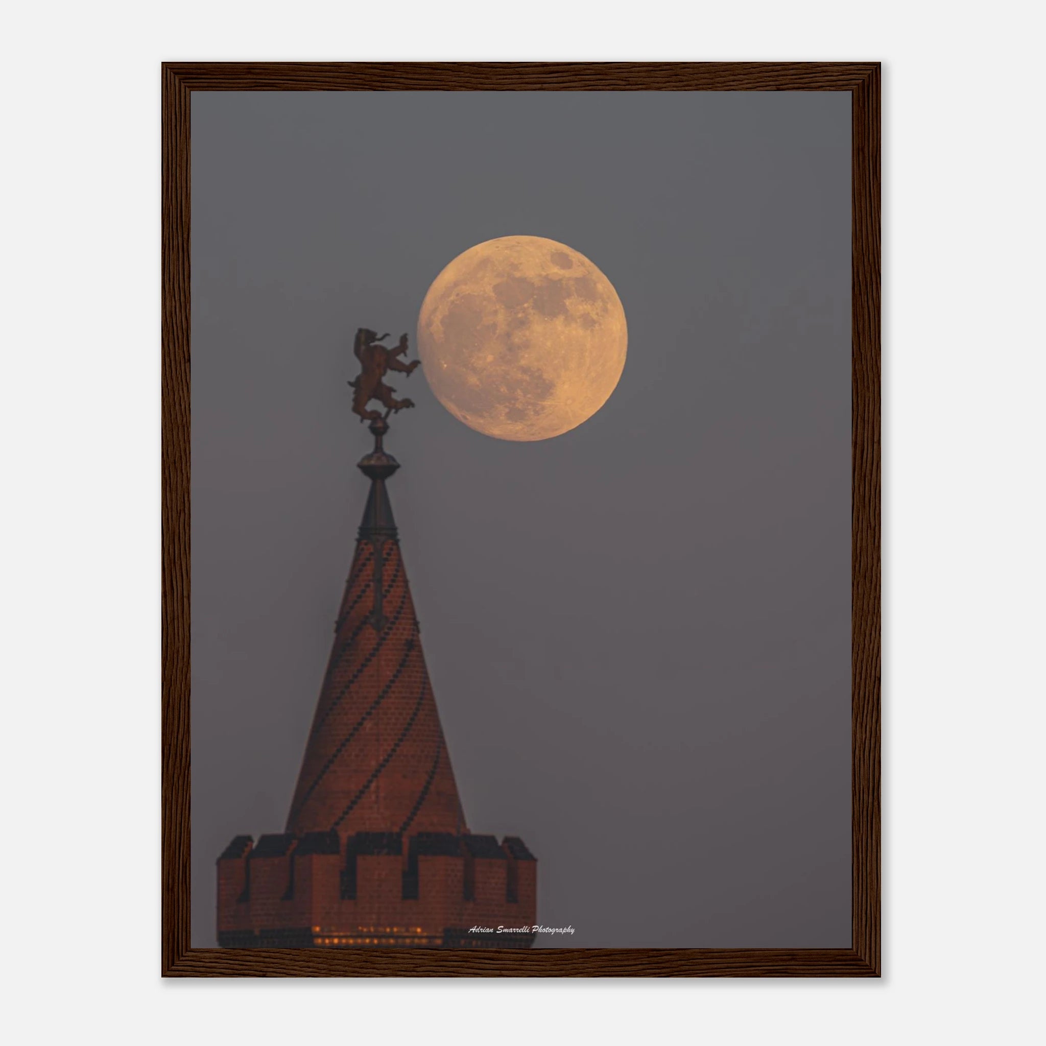 9a350e6d-dafc-4999-8cd4-0964206a4b4e