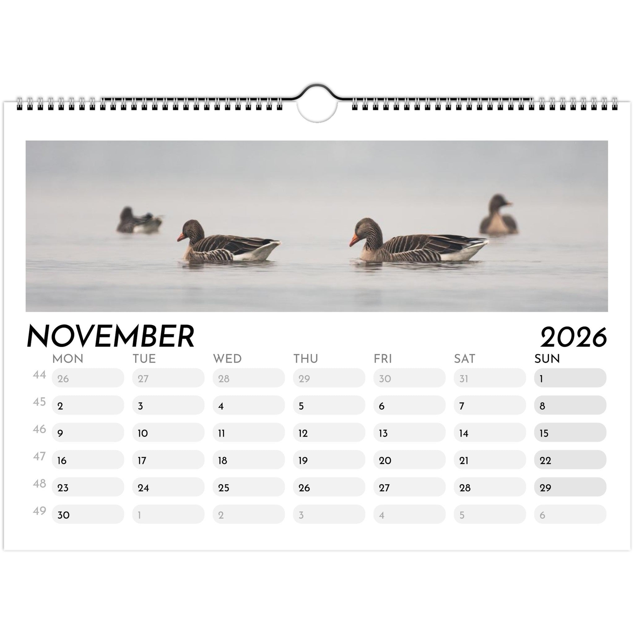 9a38ee3e-144f-4231-91a0-17da2fcaa730