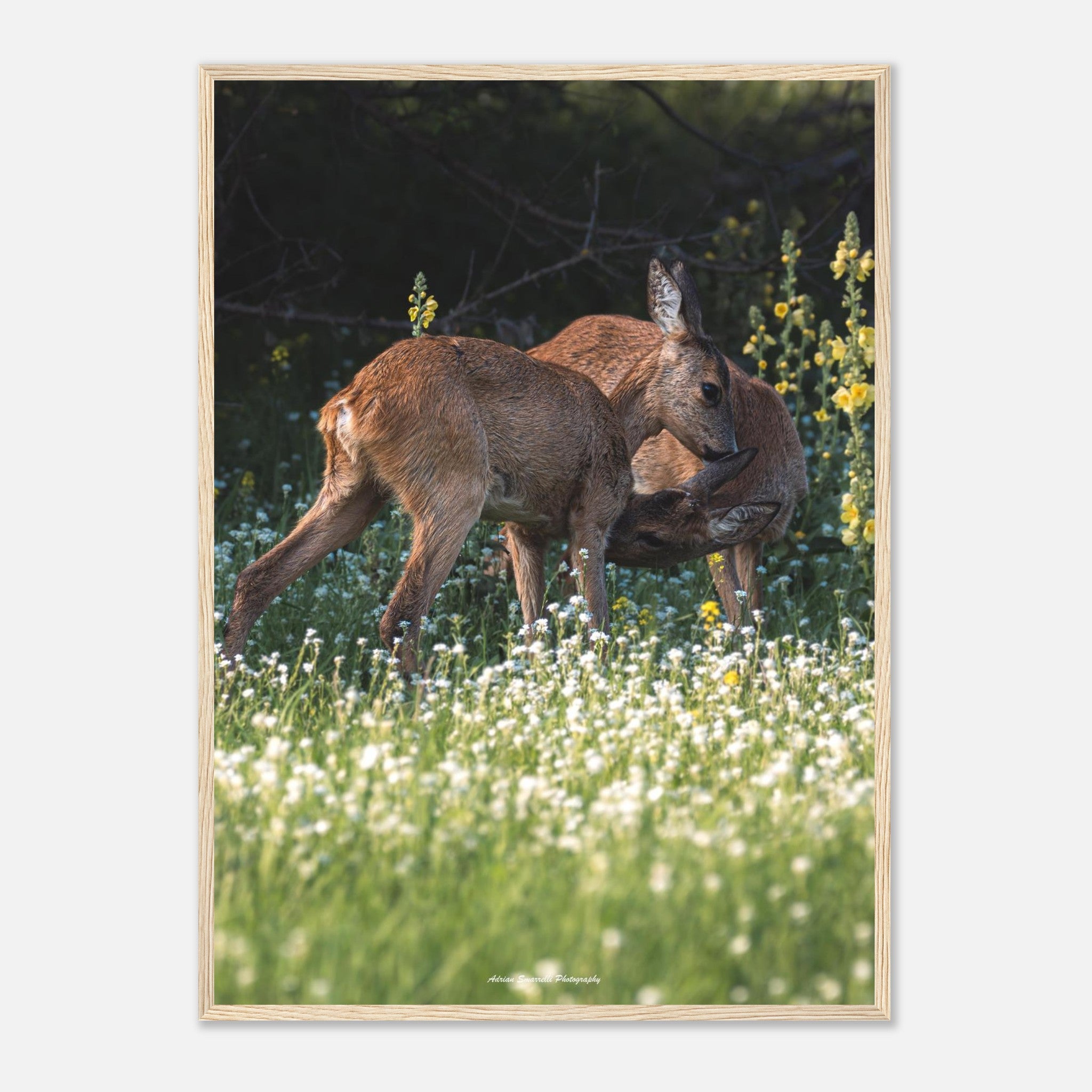 9b08e93a-798c-403d-aefc-71f82234ca2d