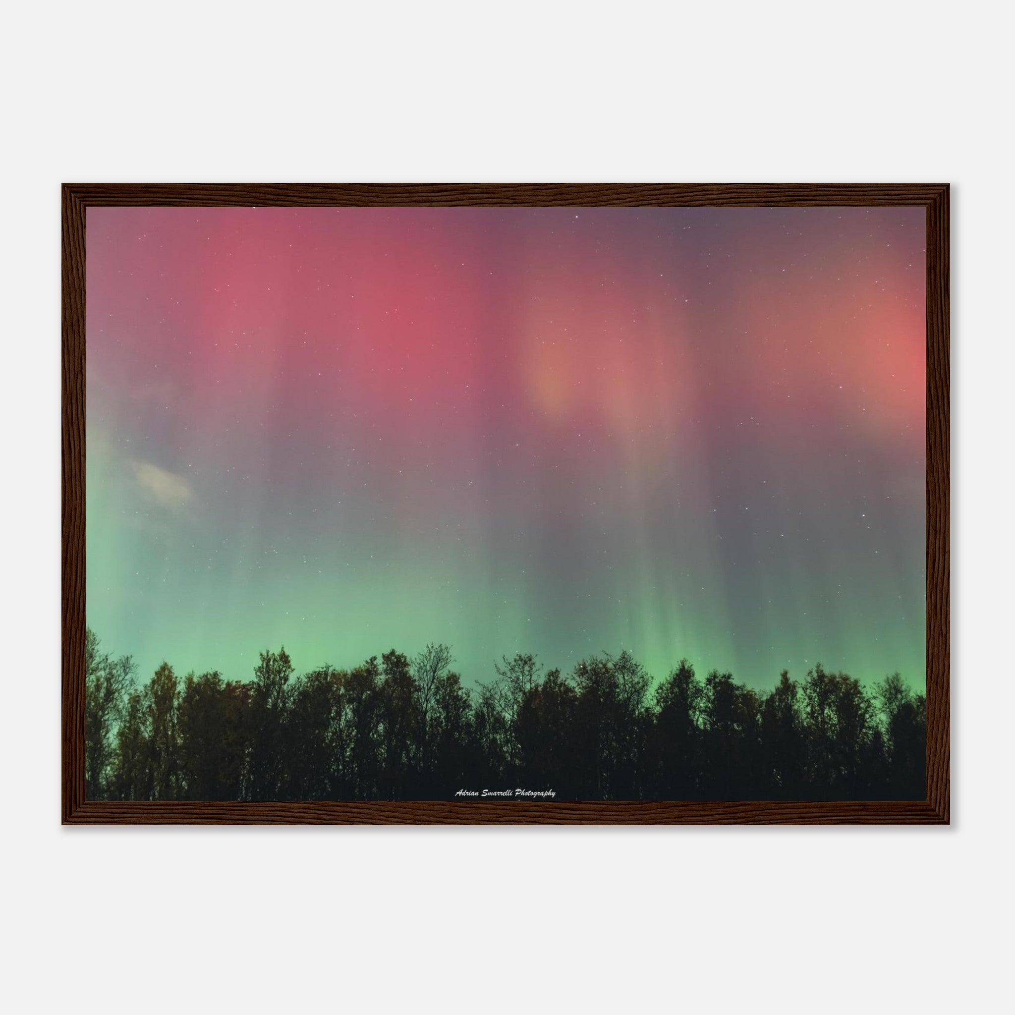 9c21632d-6148-4b04-8f4e-6aa6d67d9aaa