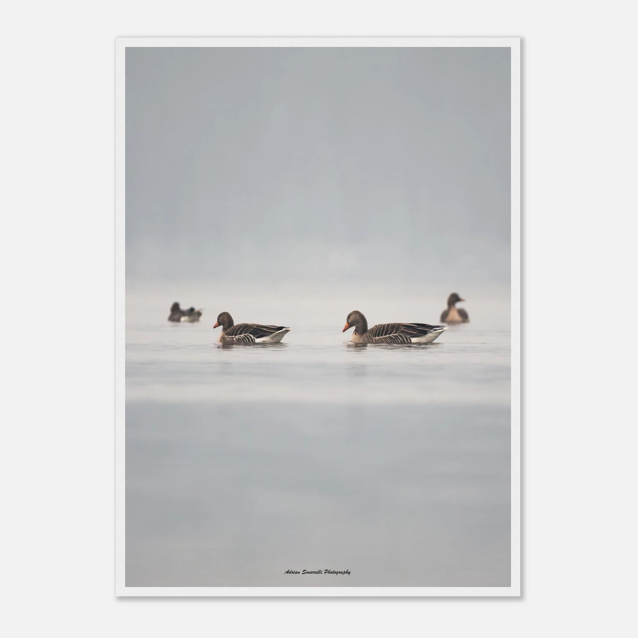 9d541b7b-9d3d-40d5-a2d3-0bdf7dd7402b