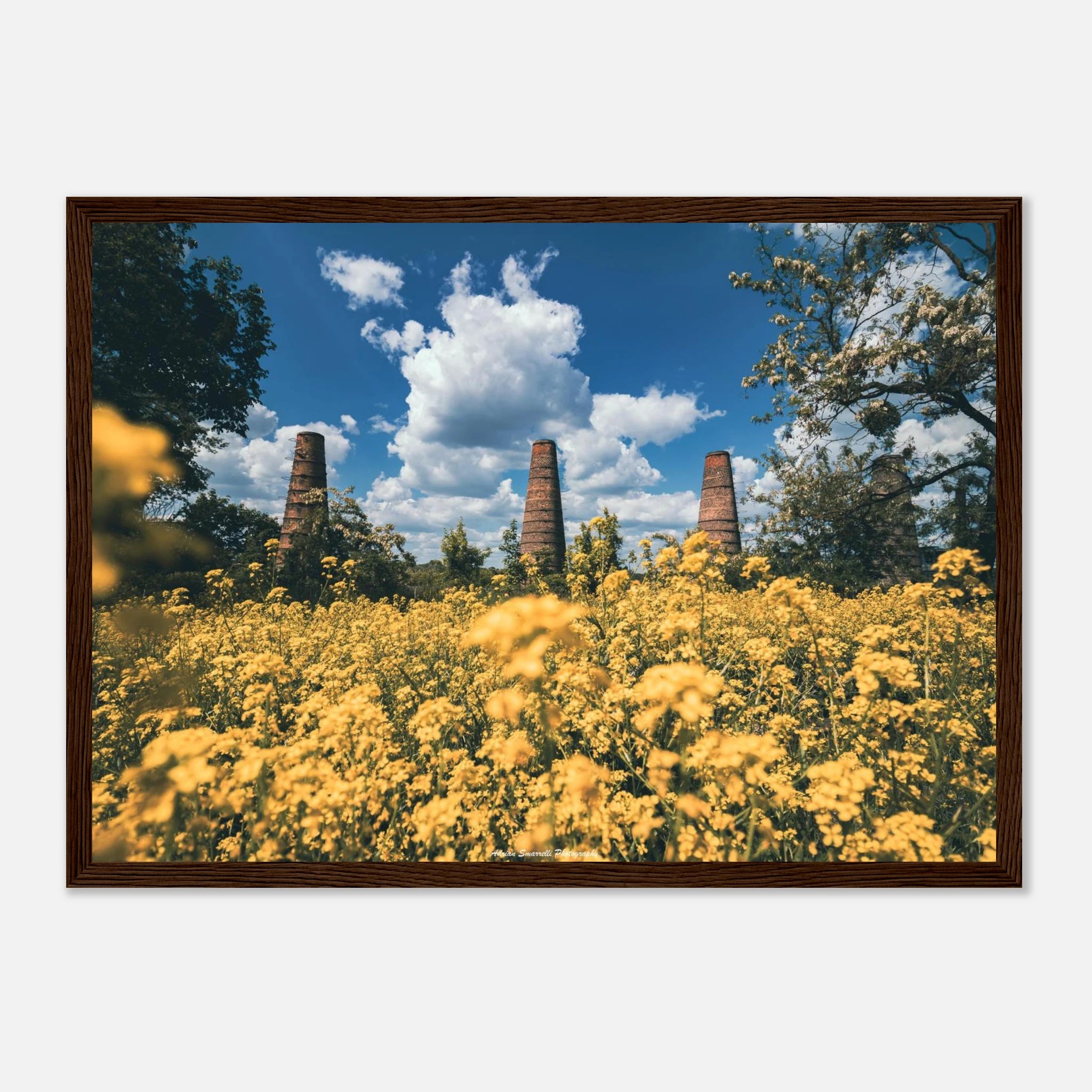 9f0c69de-e5b3-4b6a-8856-104809b86179