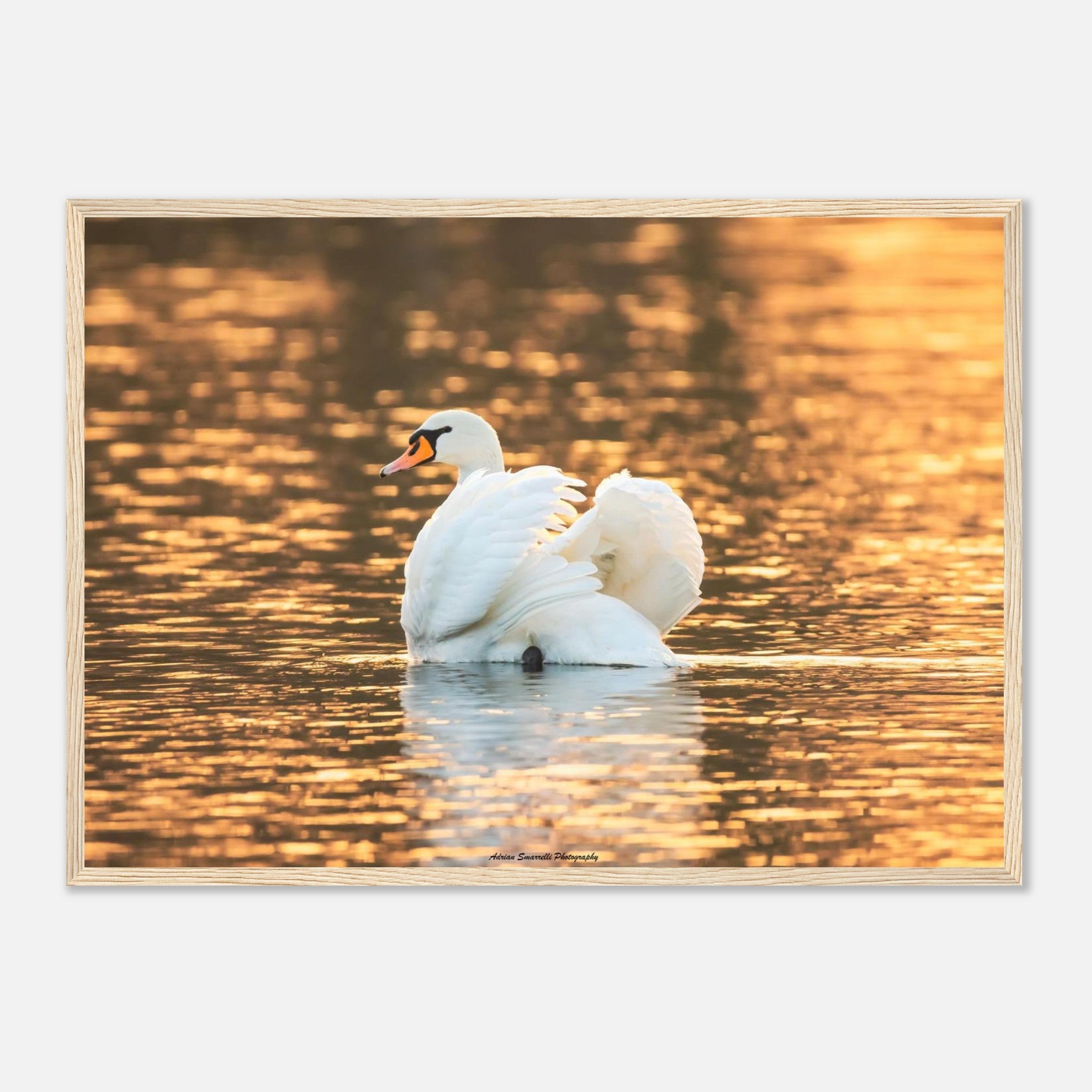 a04bf565-ec18-4e67-9c27-3ae8ca736751