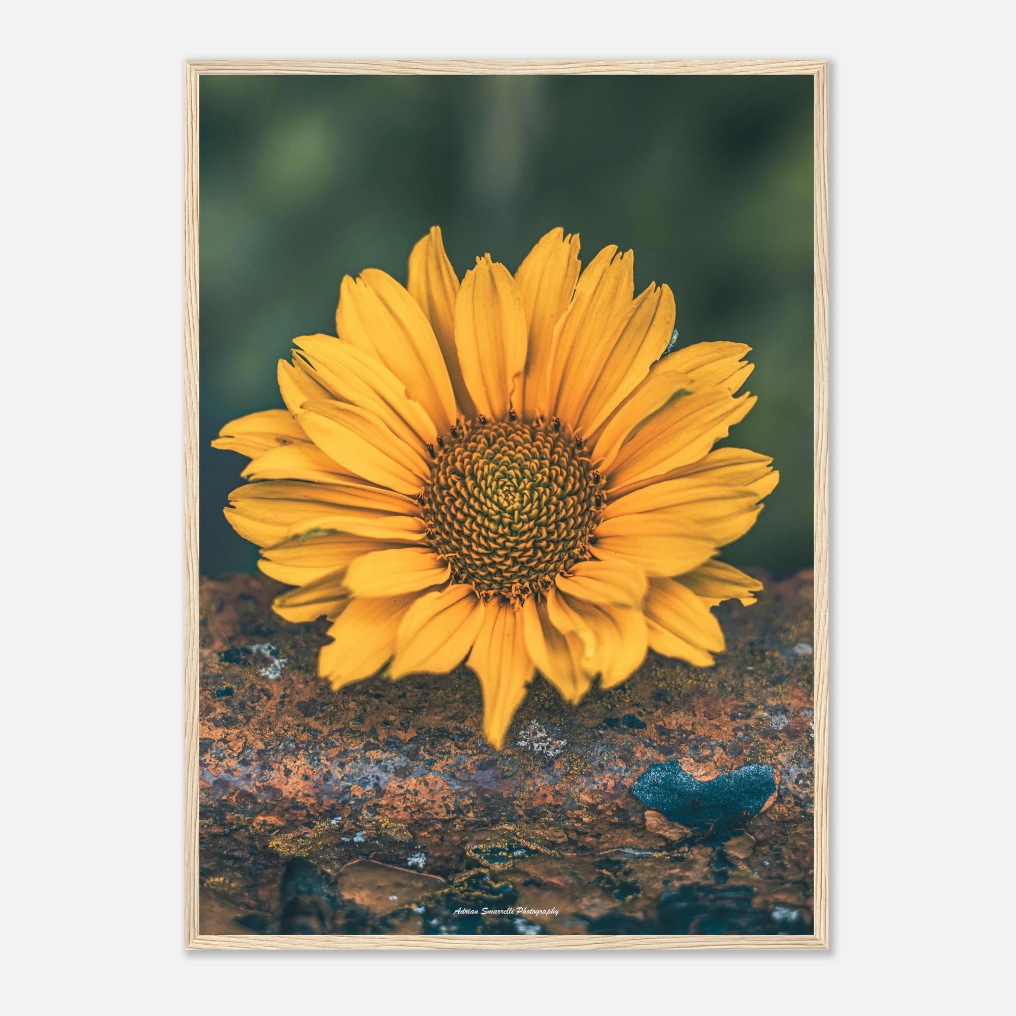 a0c62101-f952-4889-b22a-bb327fd16c58