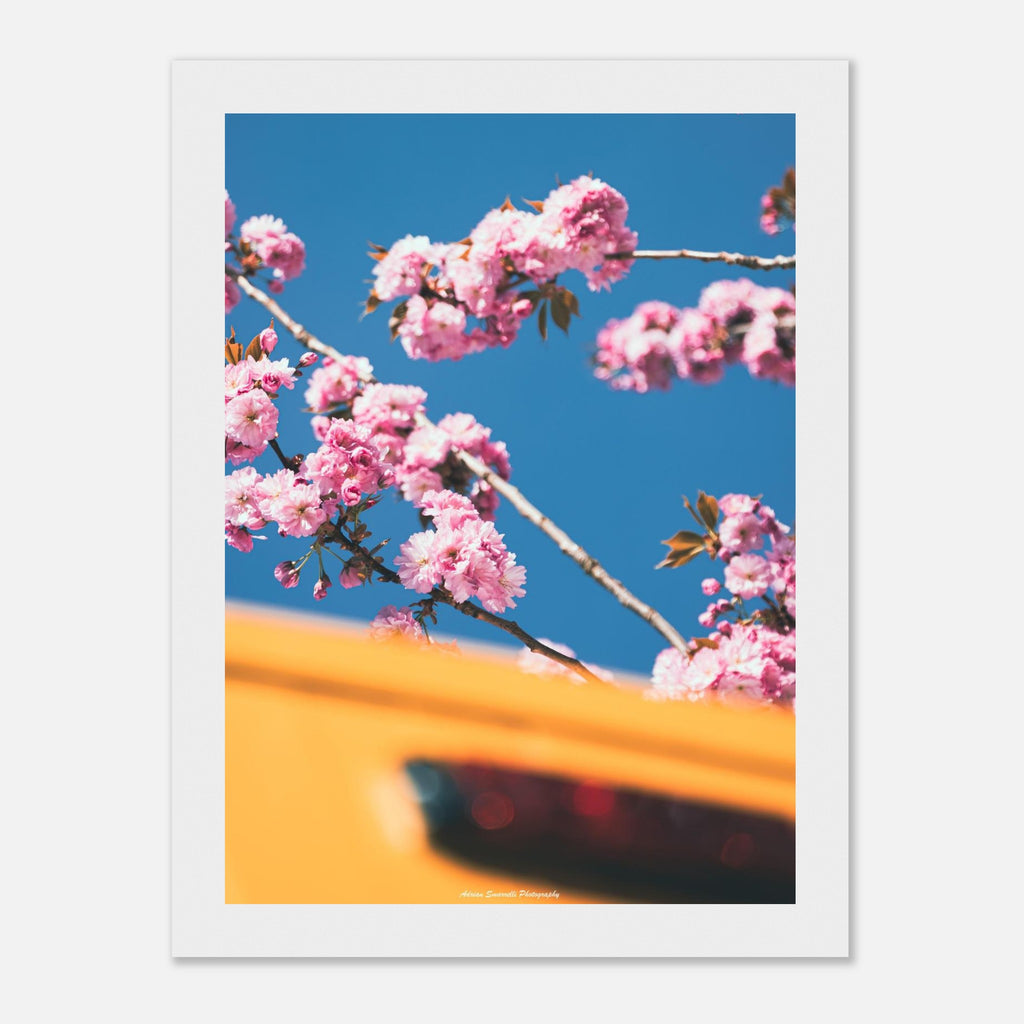 a20f5670-2ddc-4517-870e-6d62b84af774