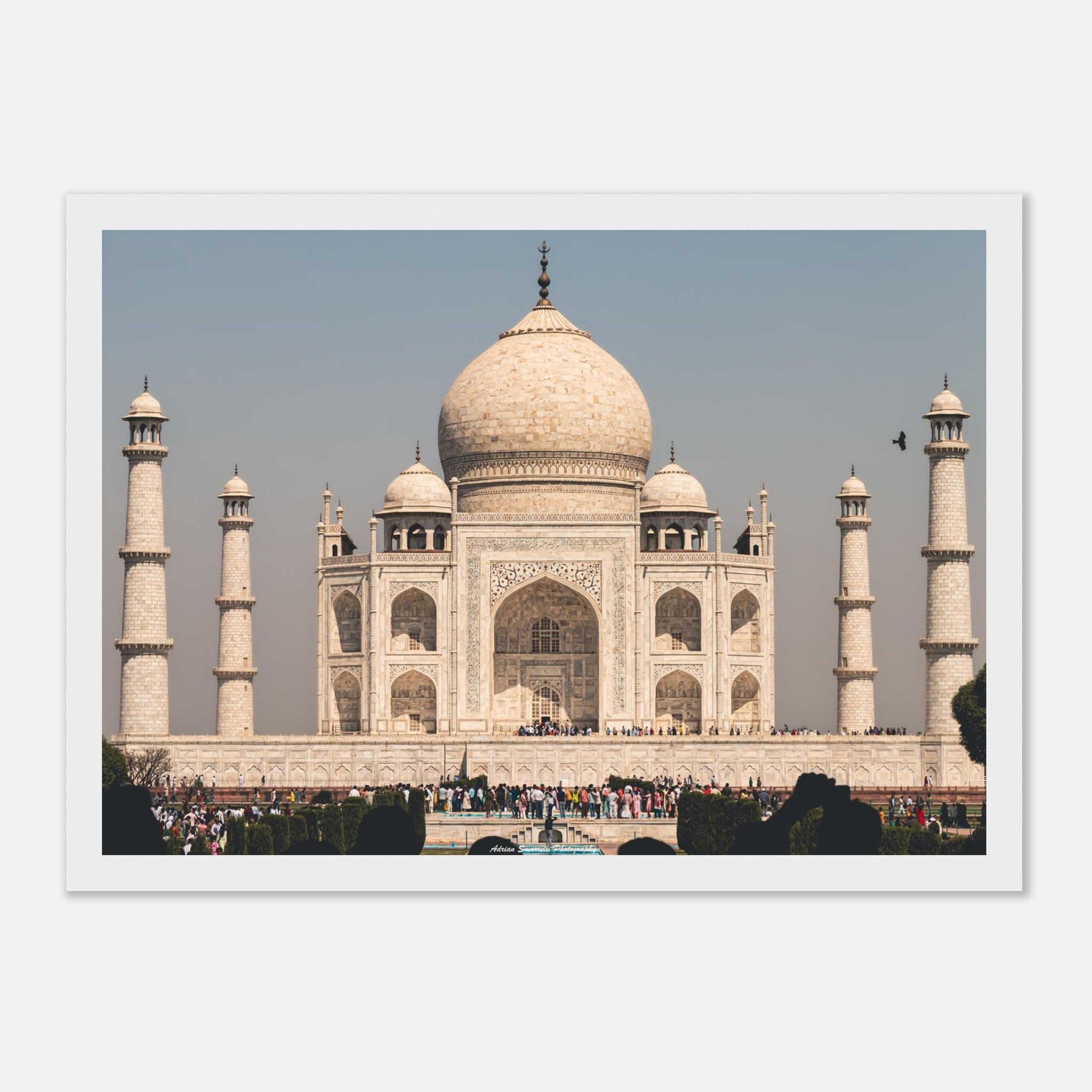 a268b642-f850-4dd0-9a63-a5aed55fd1fa