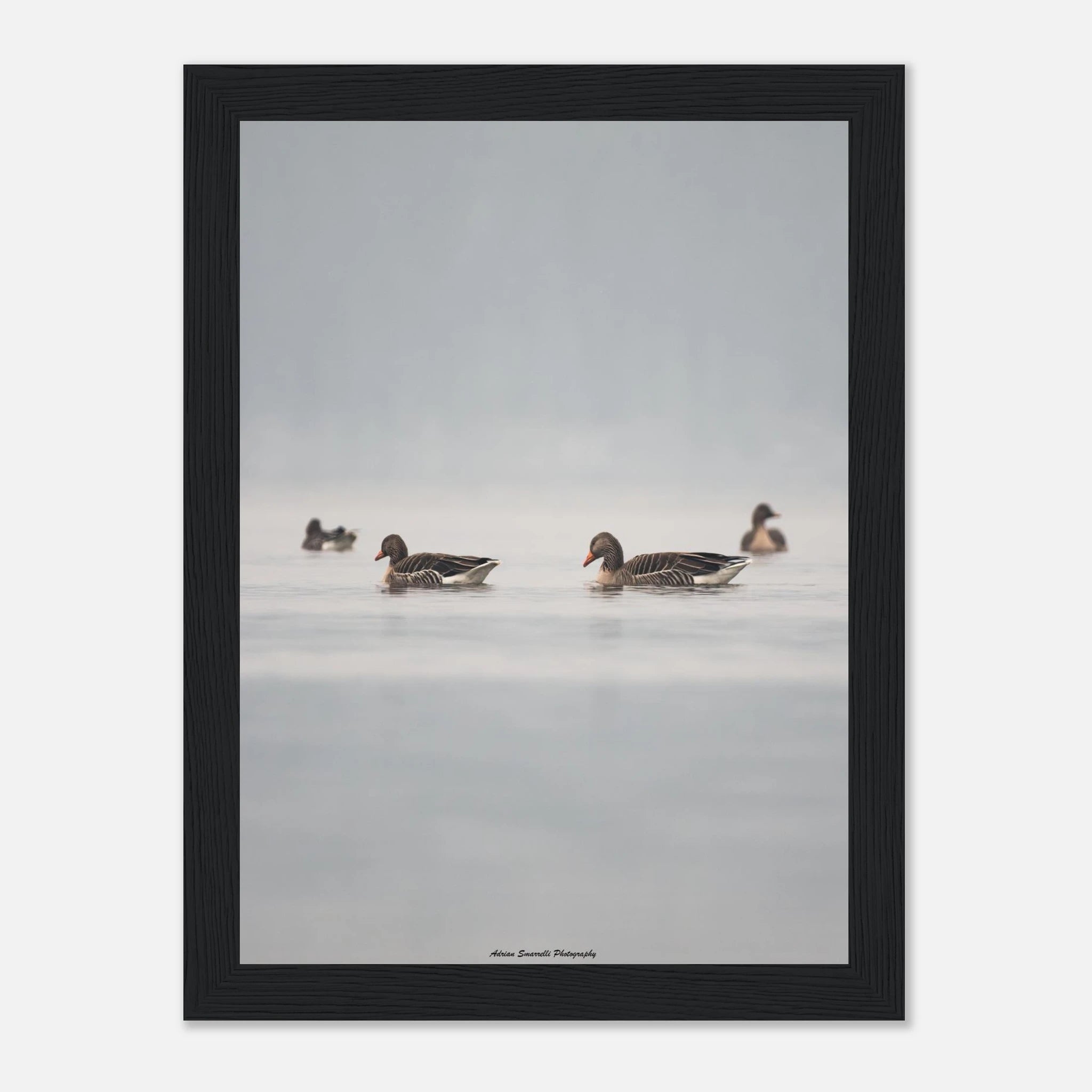 a3b7eedc-9d72-410b-a529-8d7a479686ee