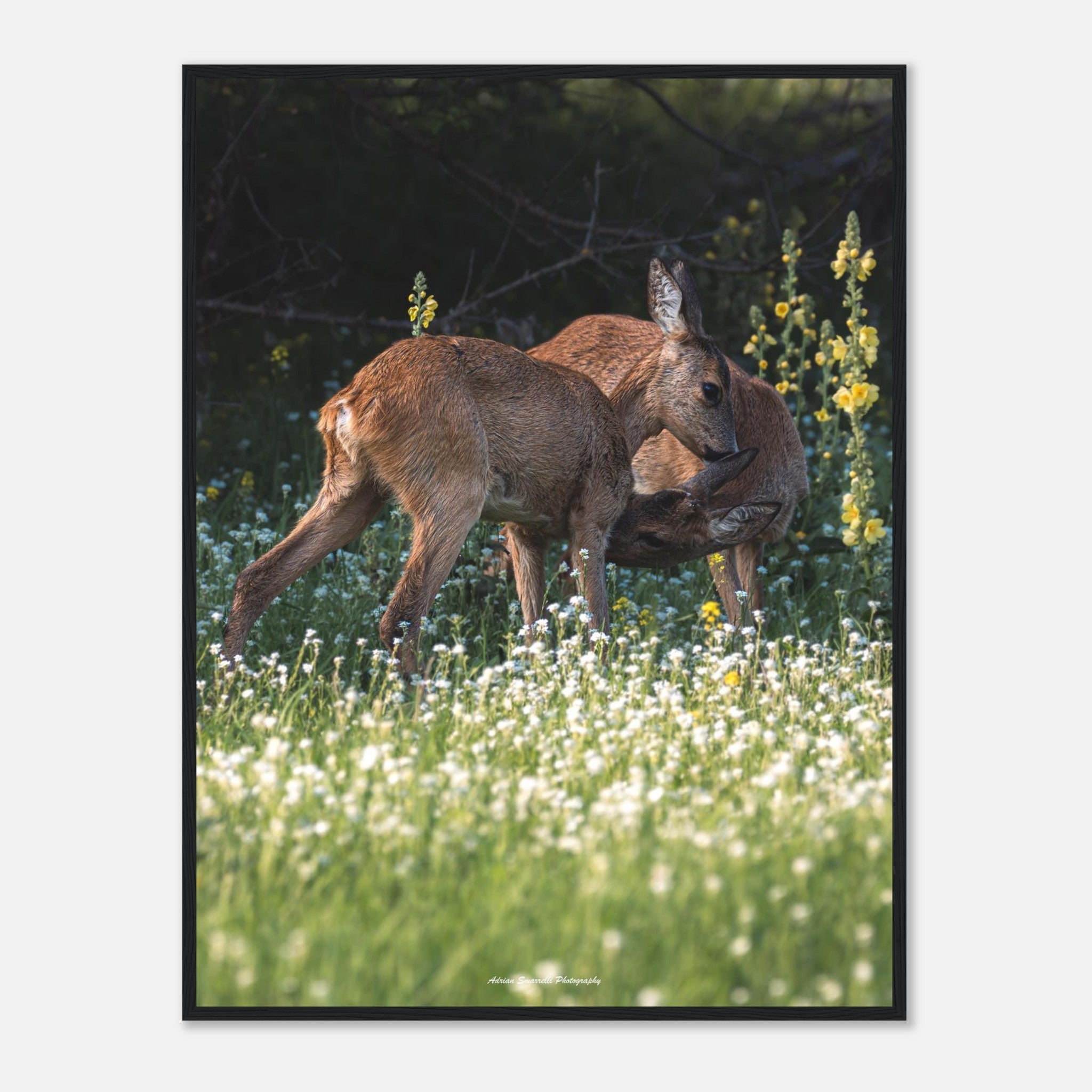 a54ffa51-c534-4a82-9e8c-37efb4edc891