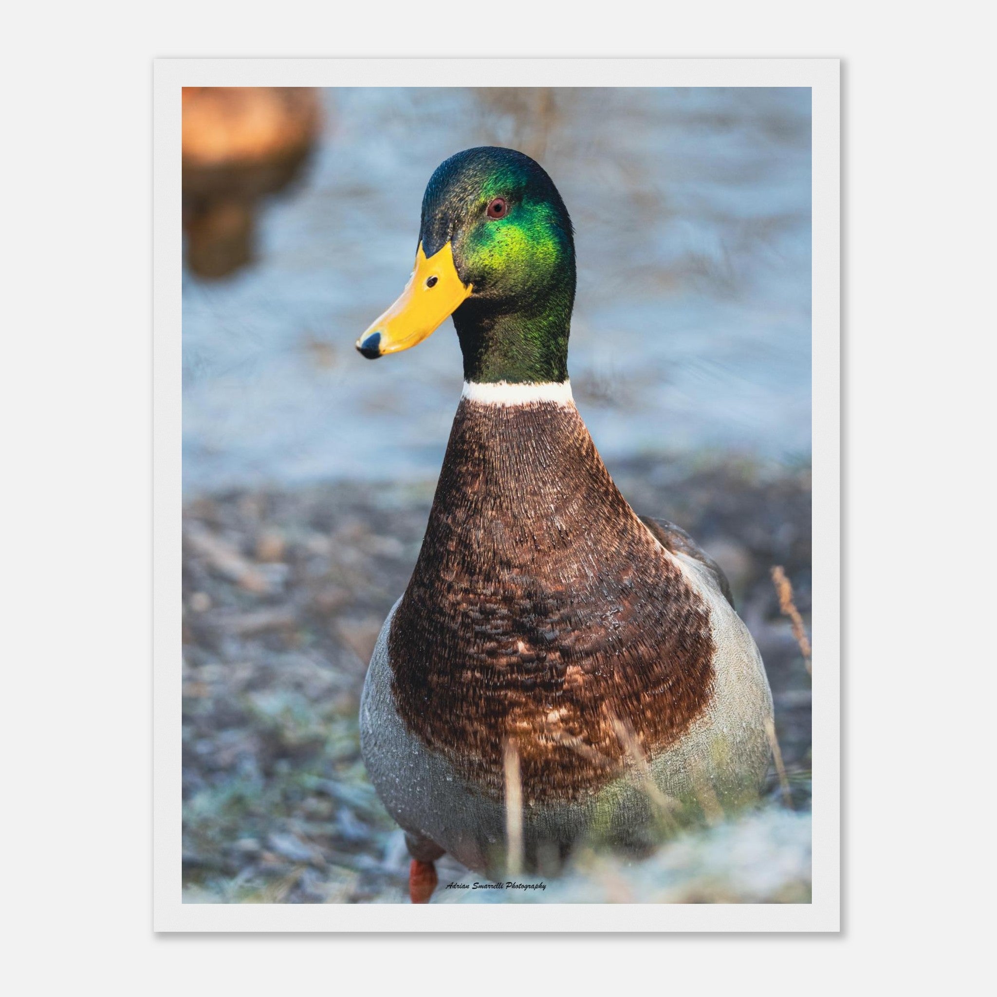 a5965ba5-2ece-4eb6-aeb6-14782670993f