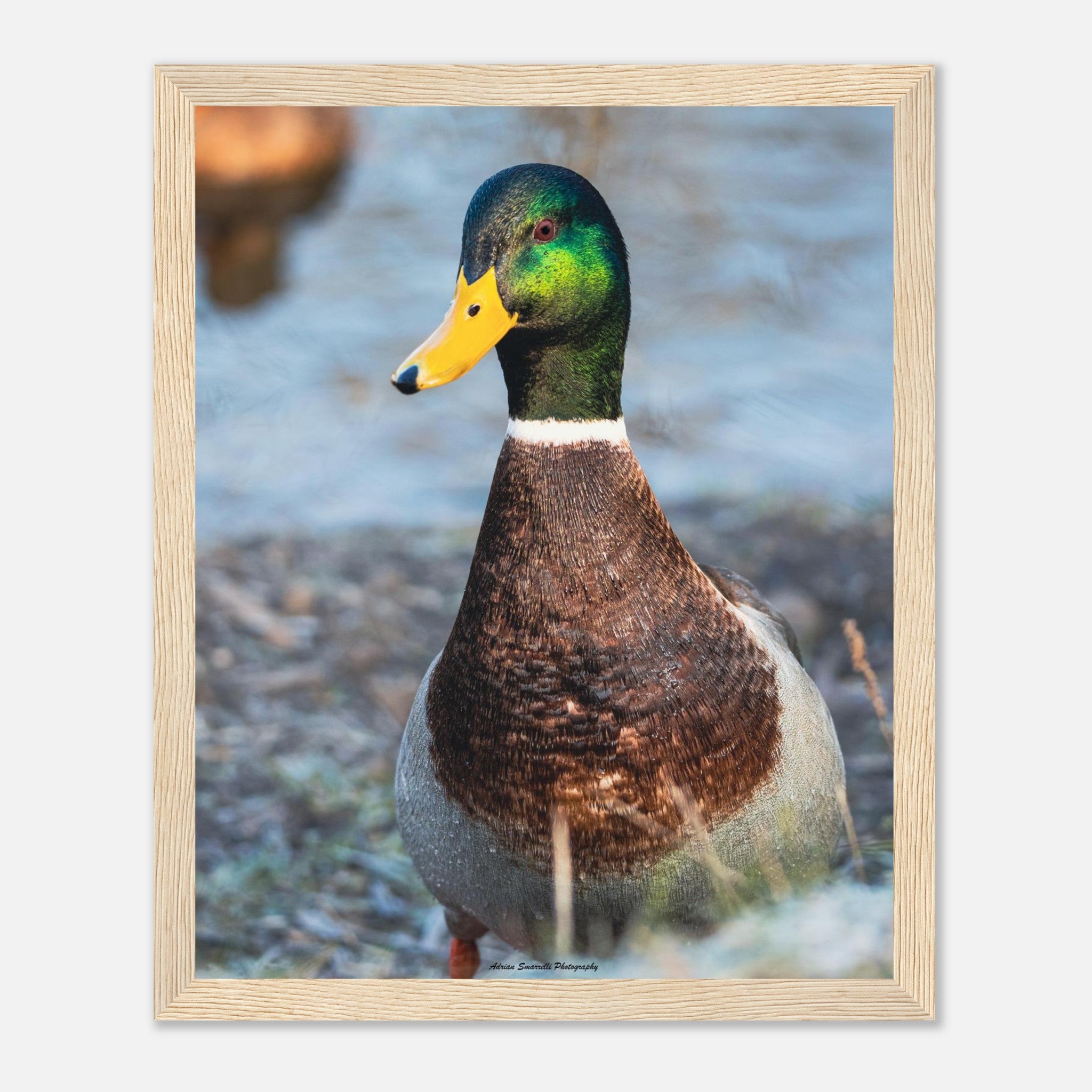 a59c5cbd-0ad5-4303-a994-e55af60cf955