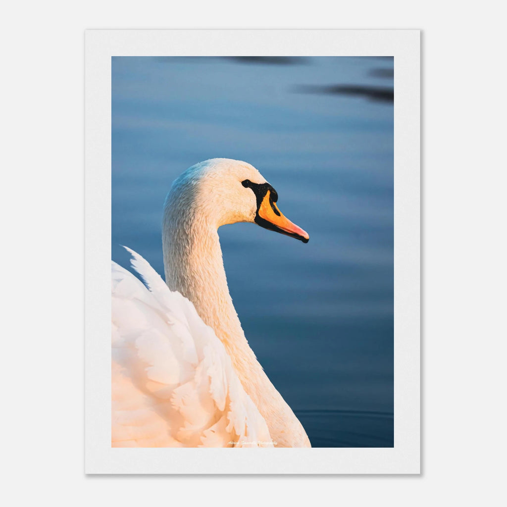 a59e48c8-849a-41e5-aa9d-9fdc55d49100