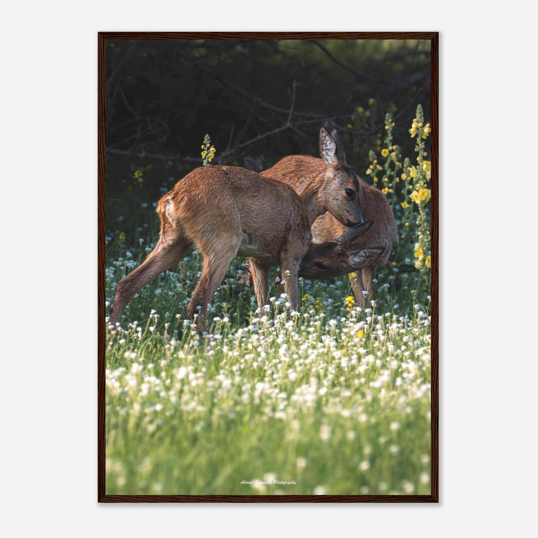 a670e72c-30a9-46b3-85c4-fcd9e42e948b