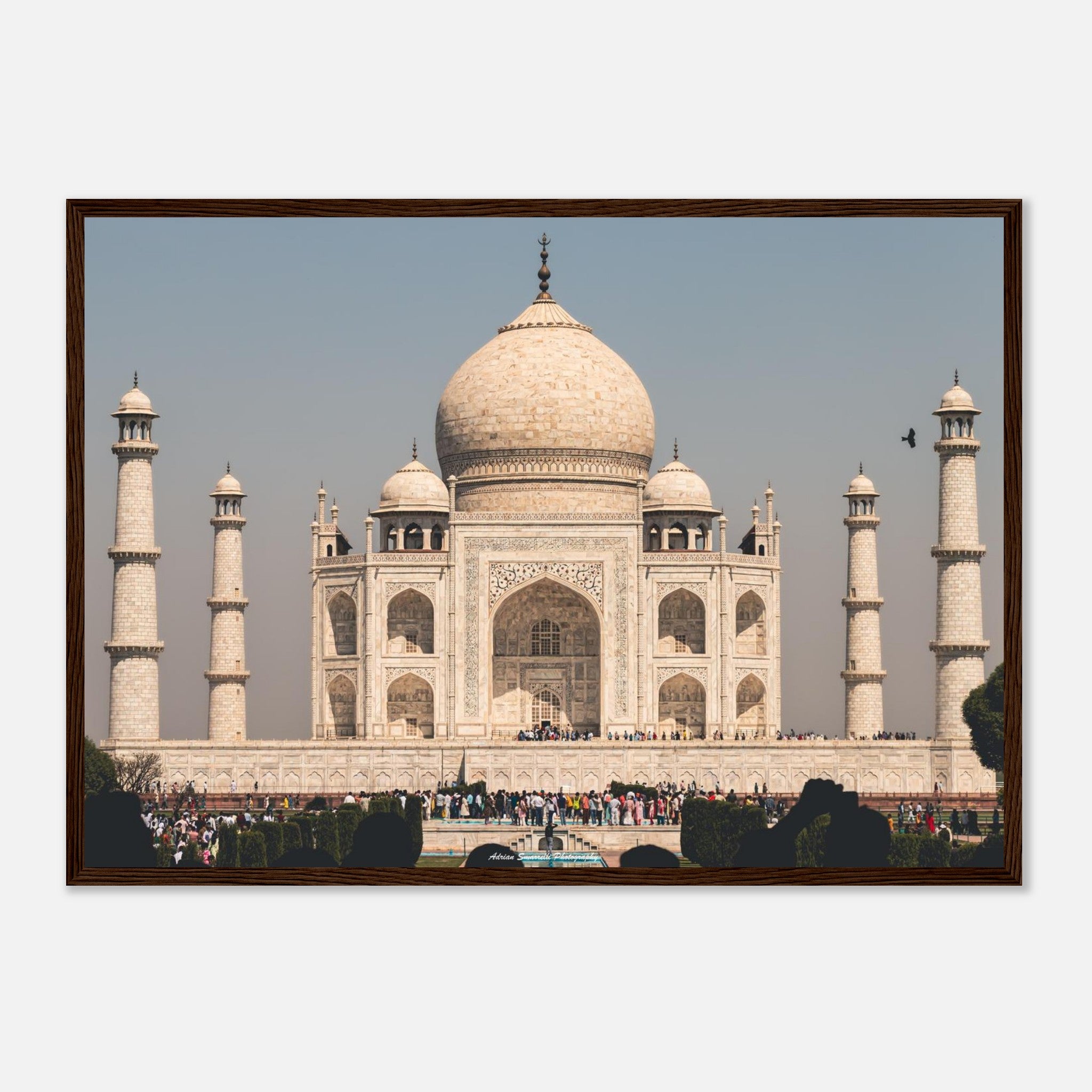 a7641e0f-9898-4c8a-b634-a334c5ec7477