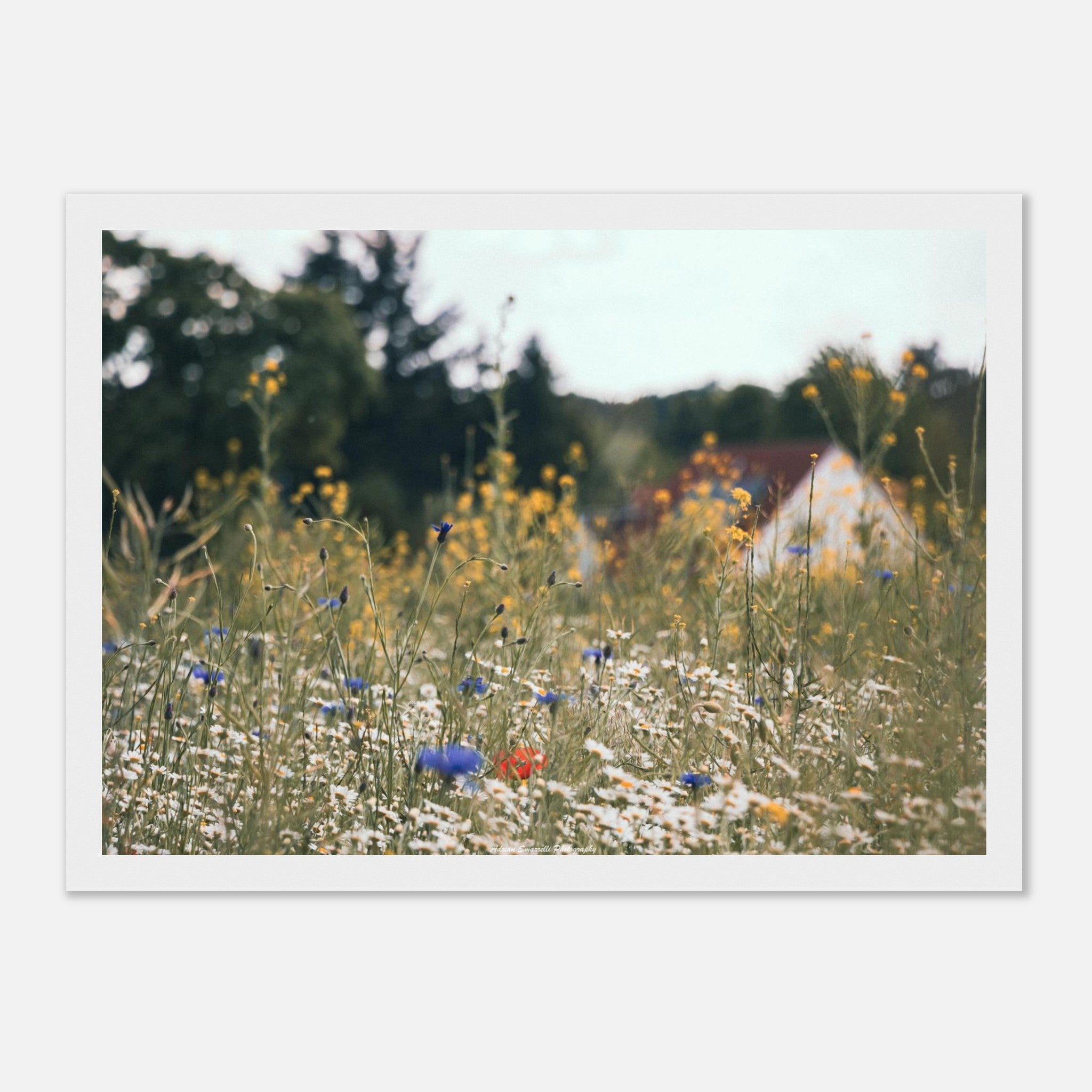 a7900588-9be1-4897-acbd-81c39a8dbd04