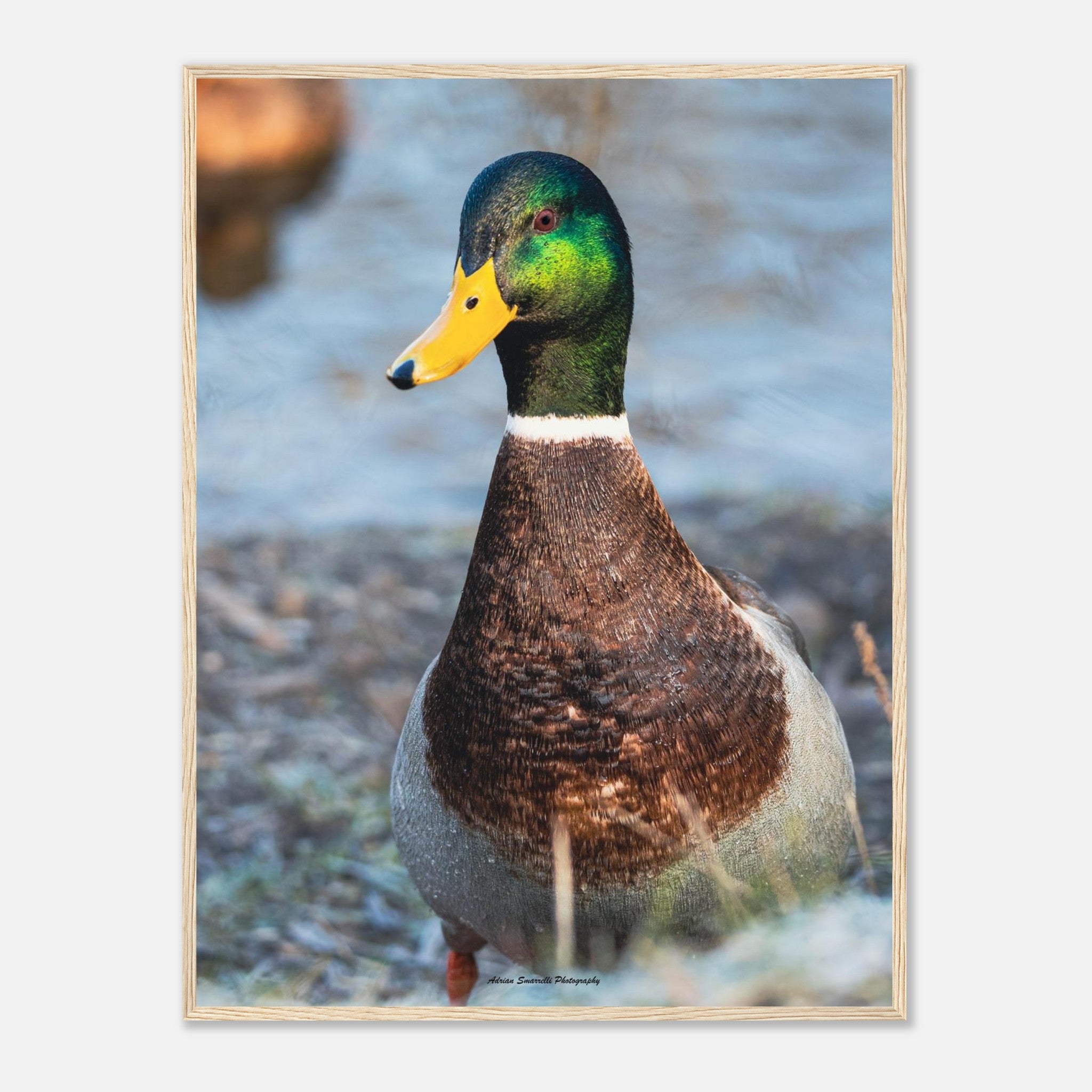 a809f2f1-5060-4ecf-85a1-a62a534614e7