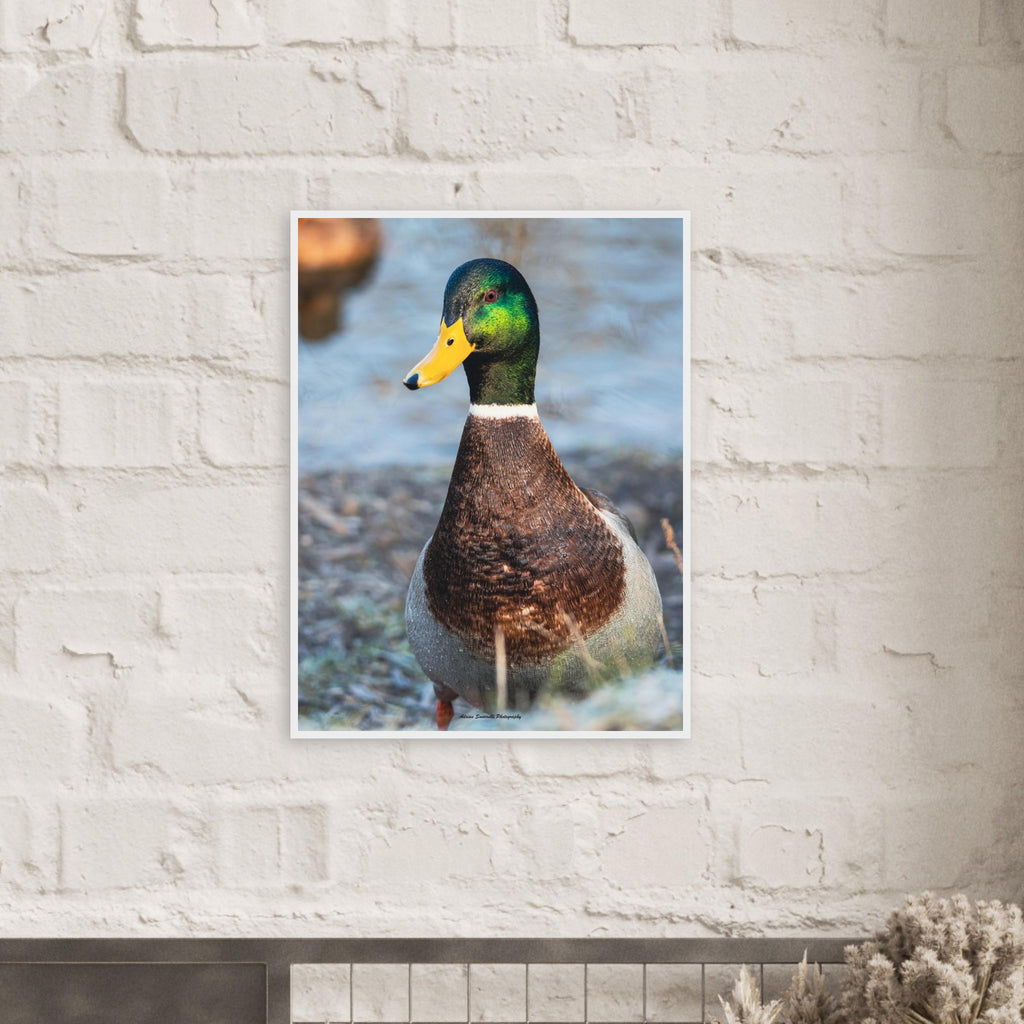 a8a2fce5-53fe-44a3-bff2-783eba2a890a