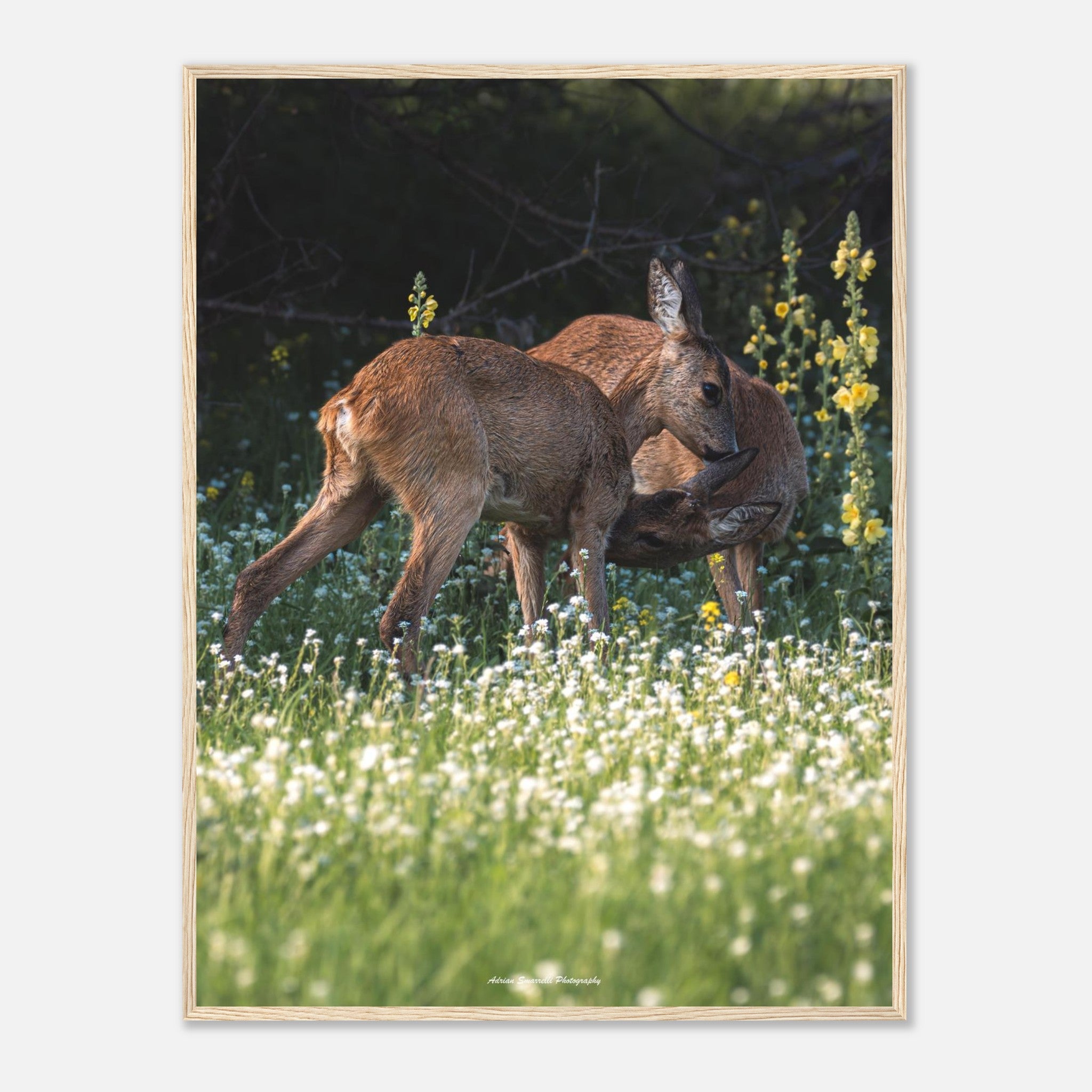 a8e3f165-918a-4ddf-b667-954187b460df