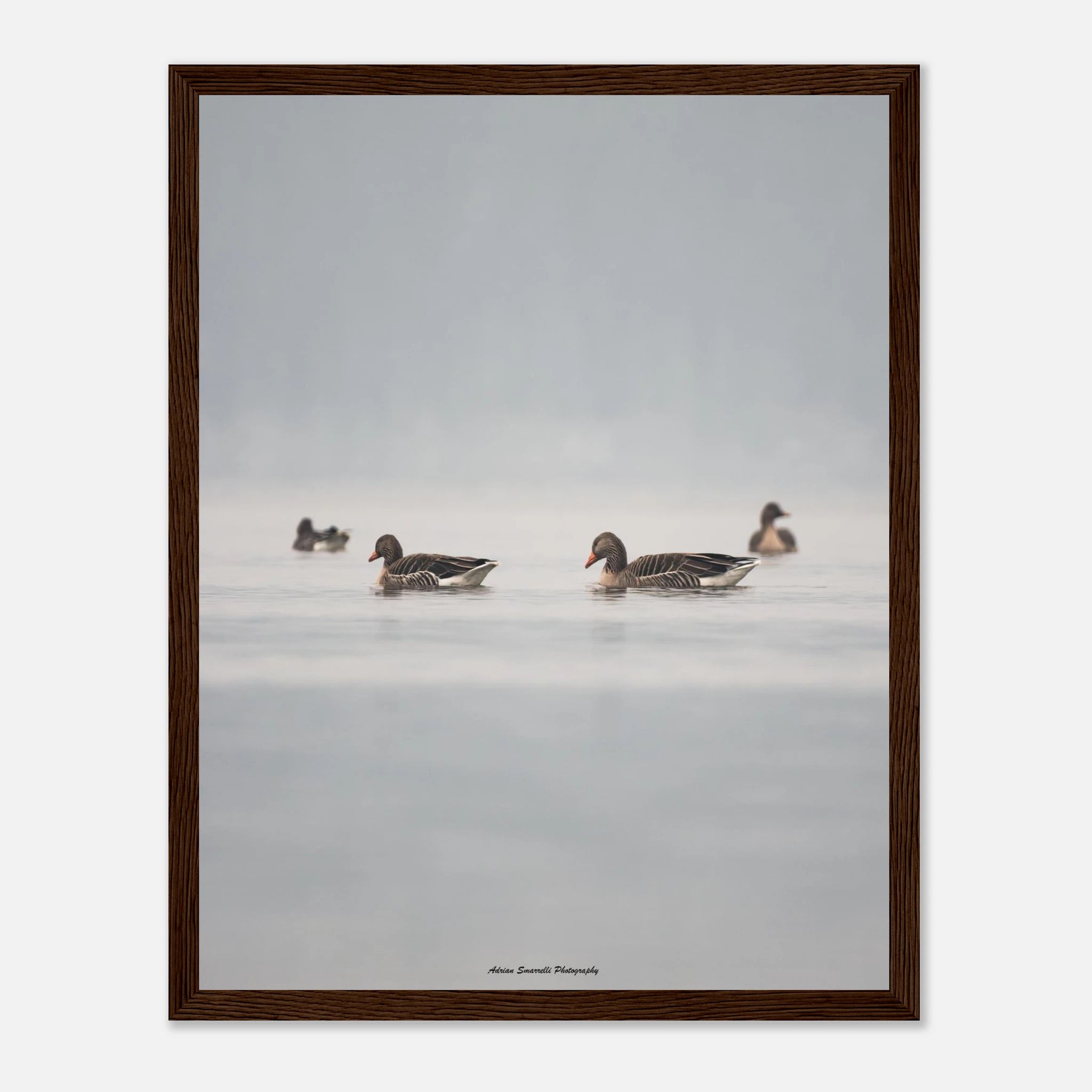 a959f9e9-d357-45e2-bd38-56fbbbe521c6