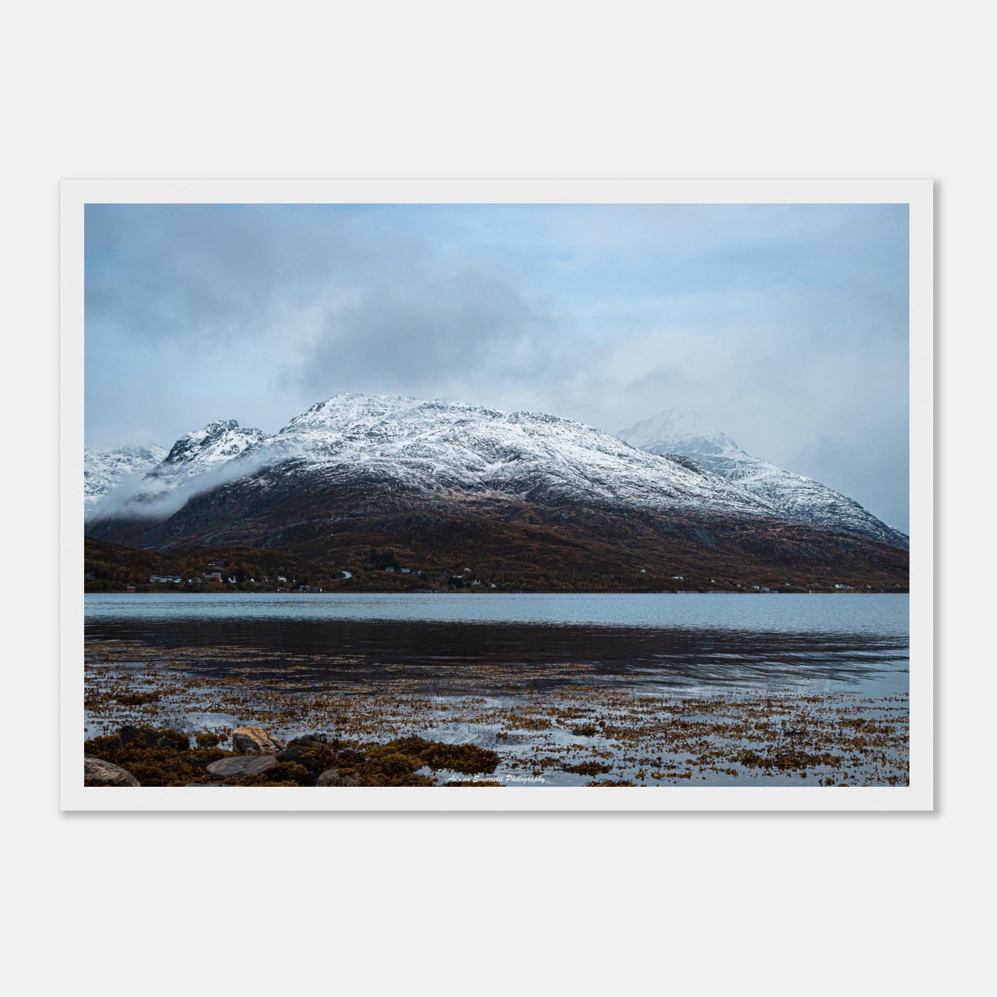 aaa04621-debd-4341-8994-83aad5924abe