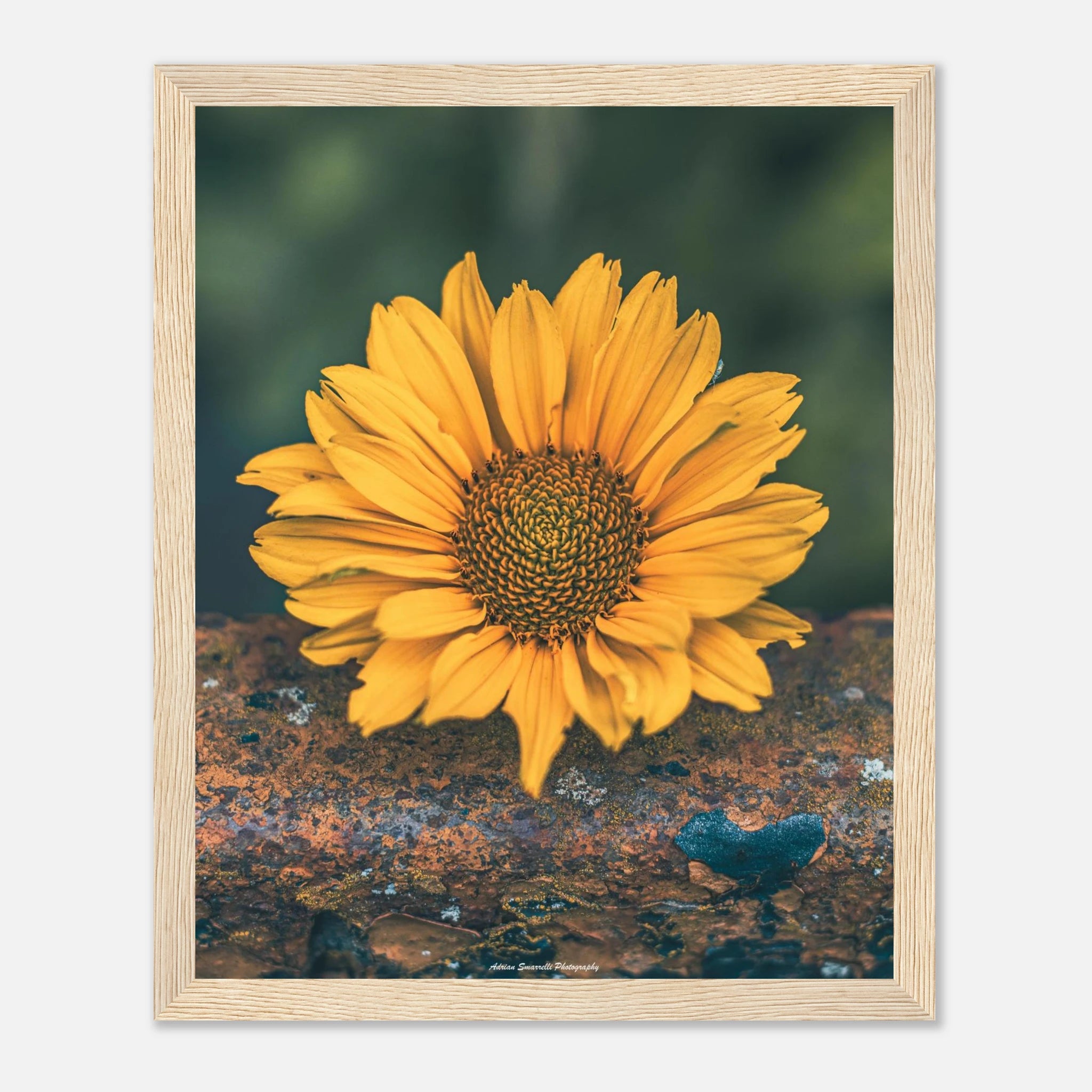 aac35290-e0d9-404d-8176-a77950b11b49