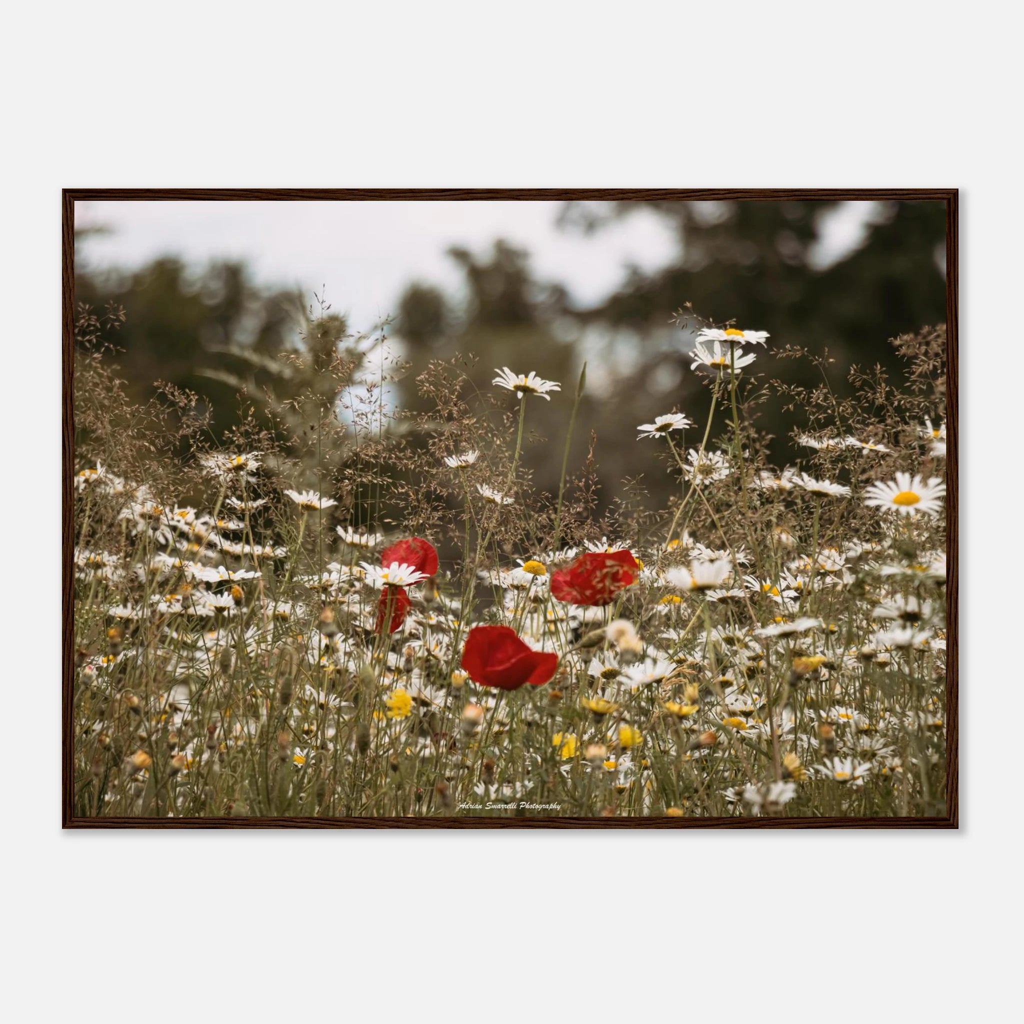 adc9f40b-efe7-44ff-bbcd-4048f0919da6