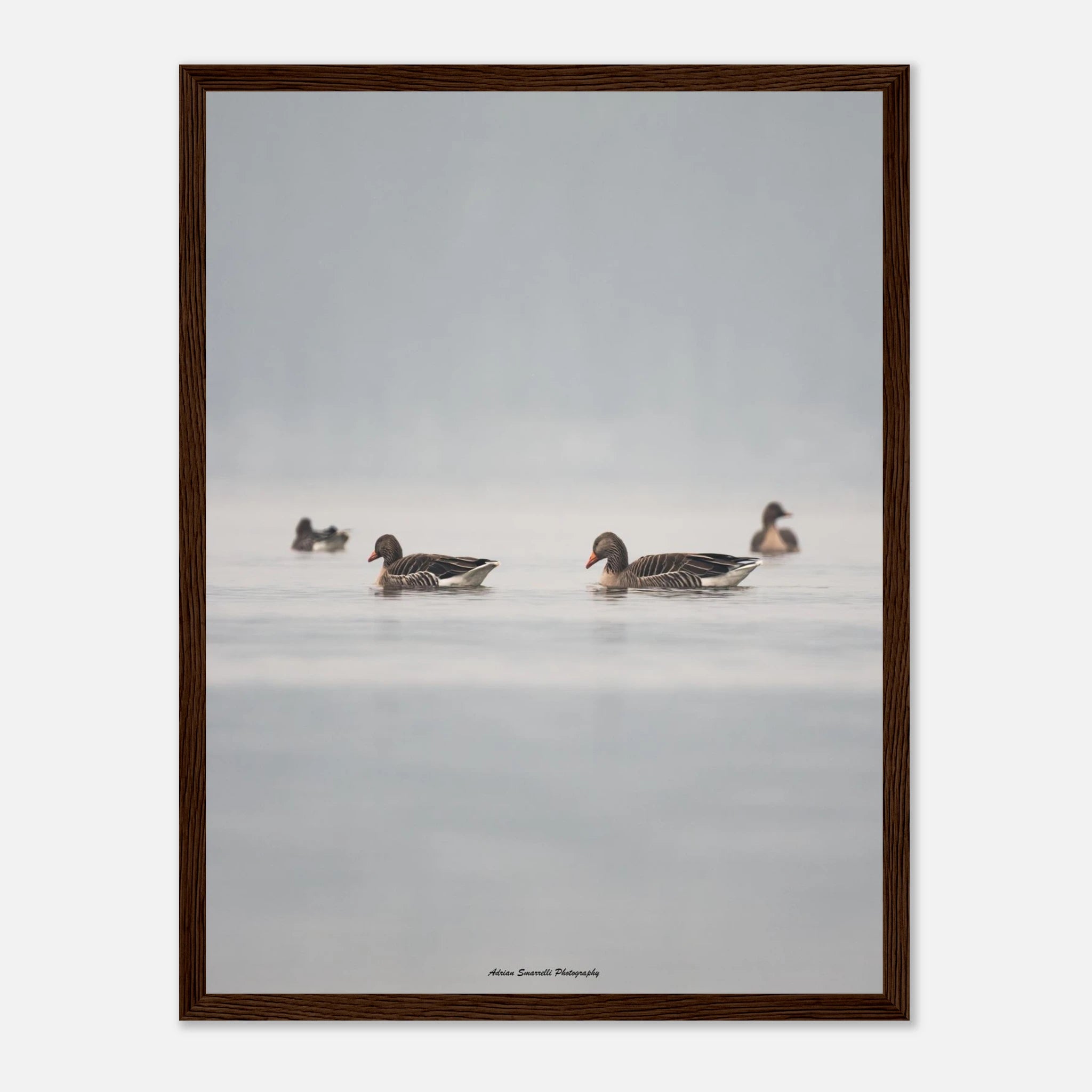 aec1a72d-2f30-4061-844c-e8307eb74ca6