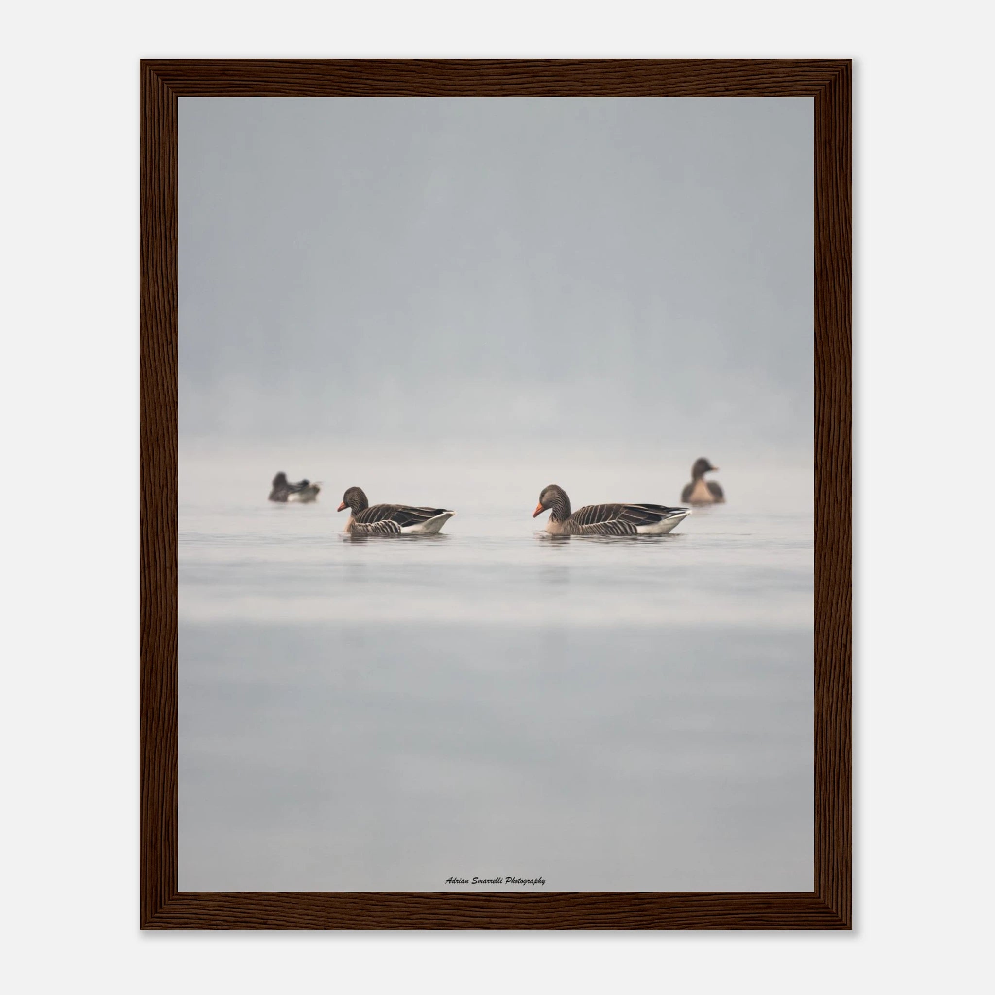 aecca299-c61a-4c1d-801c-d269e057a59d