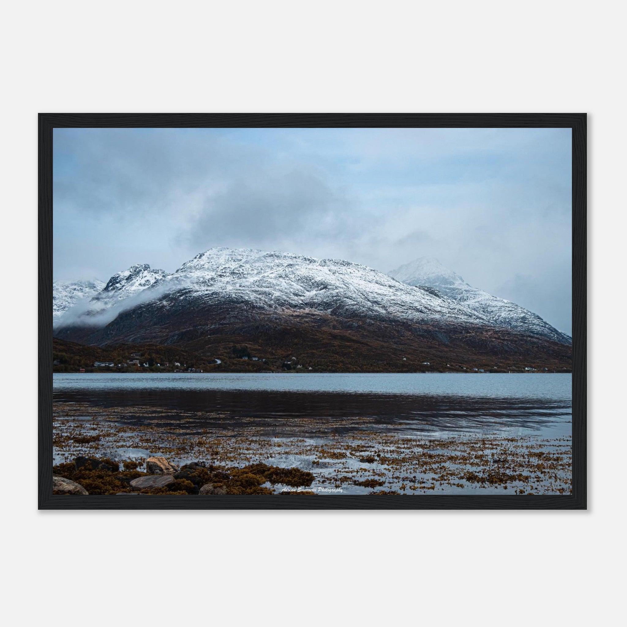 af58af9a-1234-4958-a66d-0a79c6aa71a1