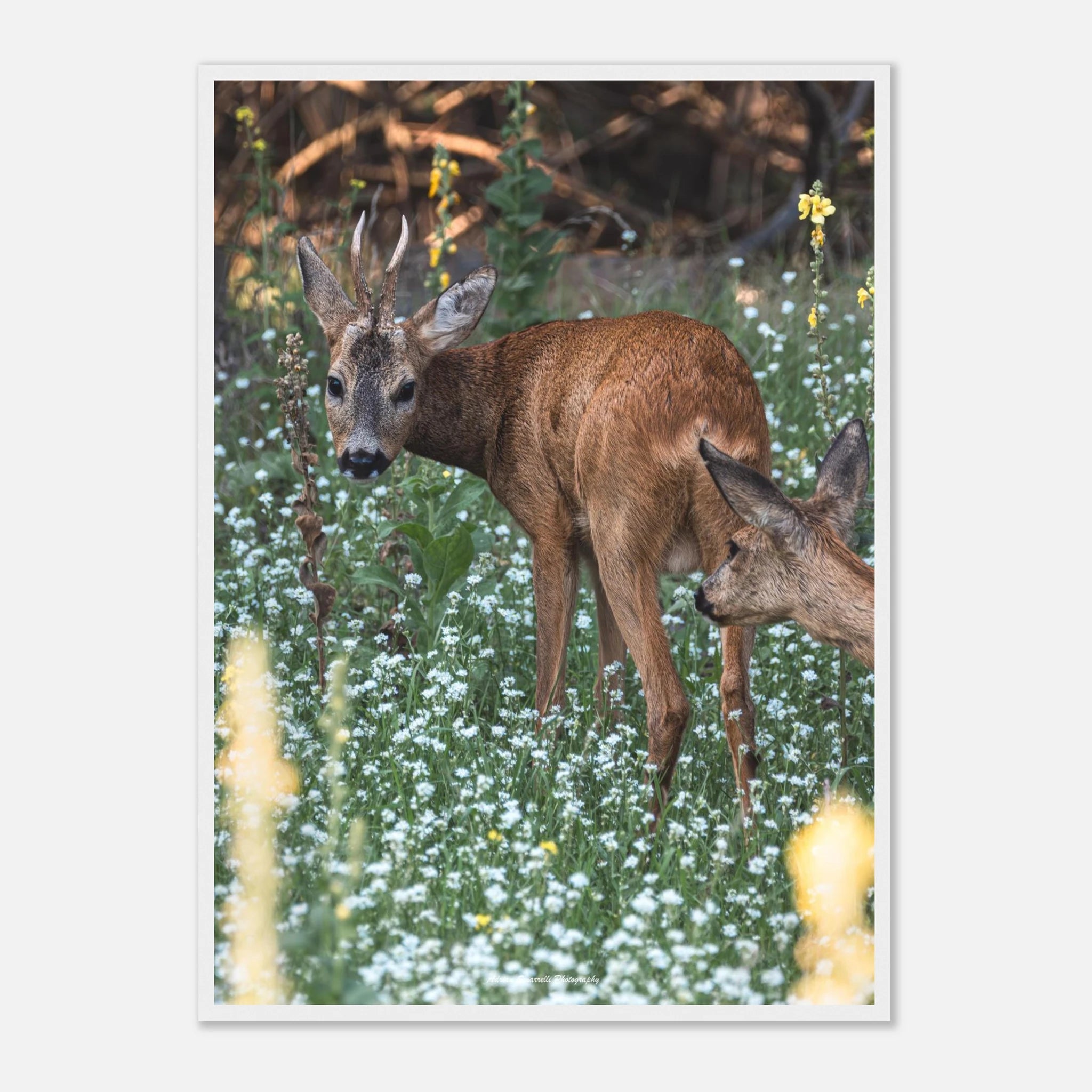 b020444d-a9a4-467a-801a-bcfb9b643855