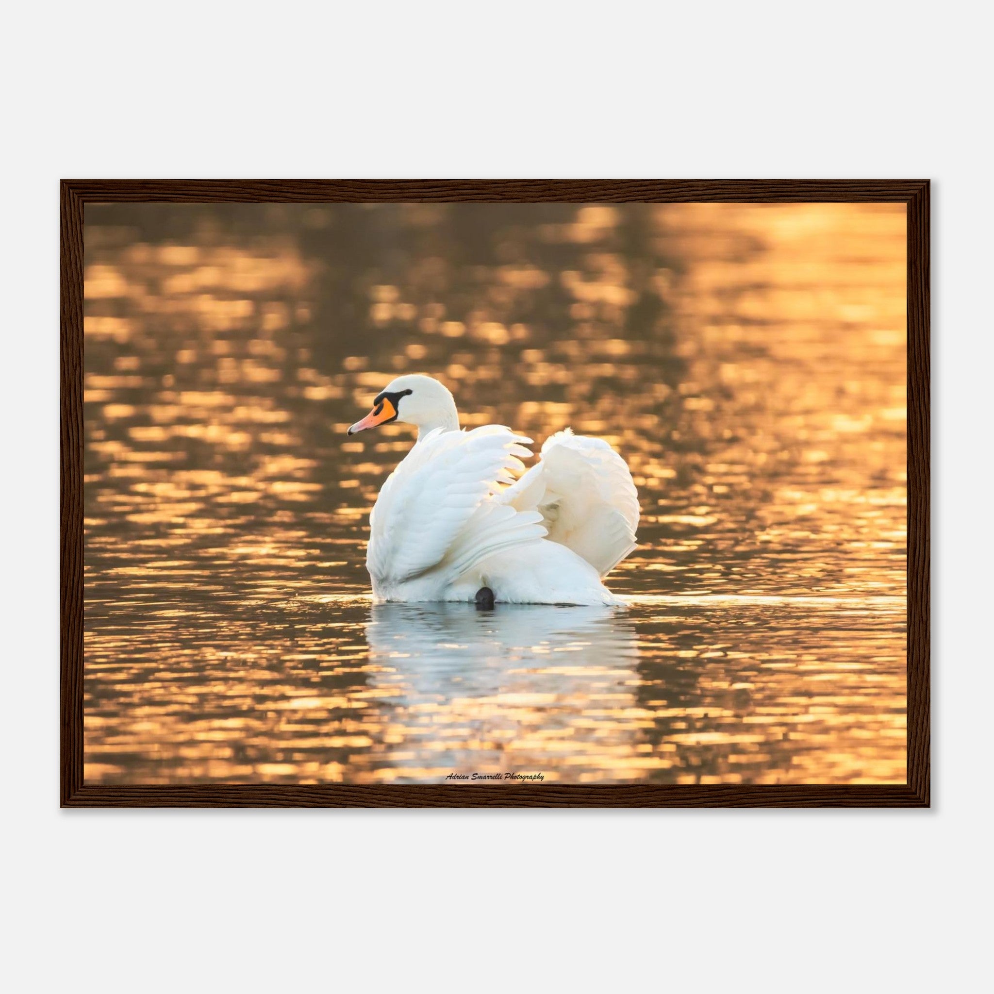 b071de0f-f2c1-4c3a-9ad0-4a99e569a9e2