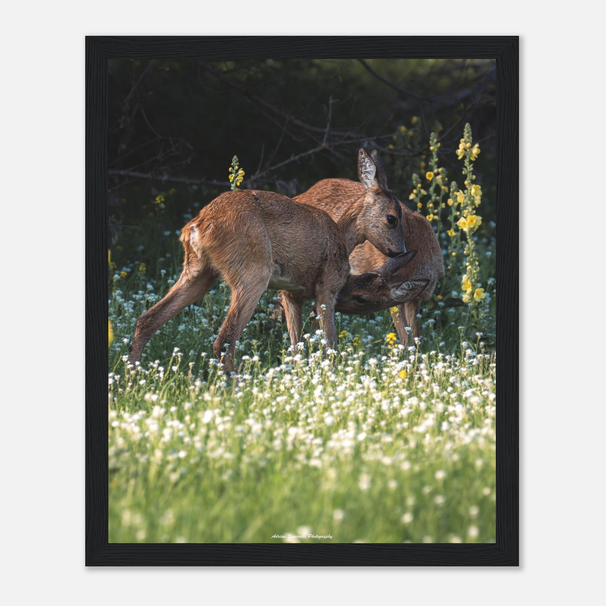 b26e8905-1afb-4fd8-a2c3-6eda06b84a67