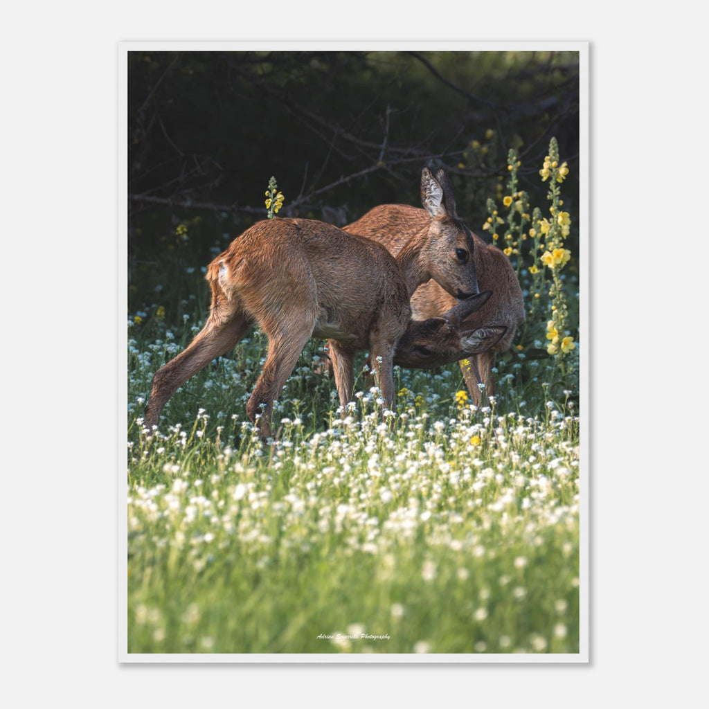 b3959b98-4051-409d-bcf4-fa8384493cb8