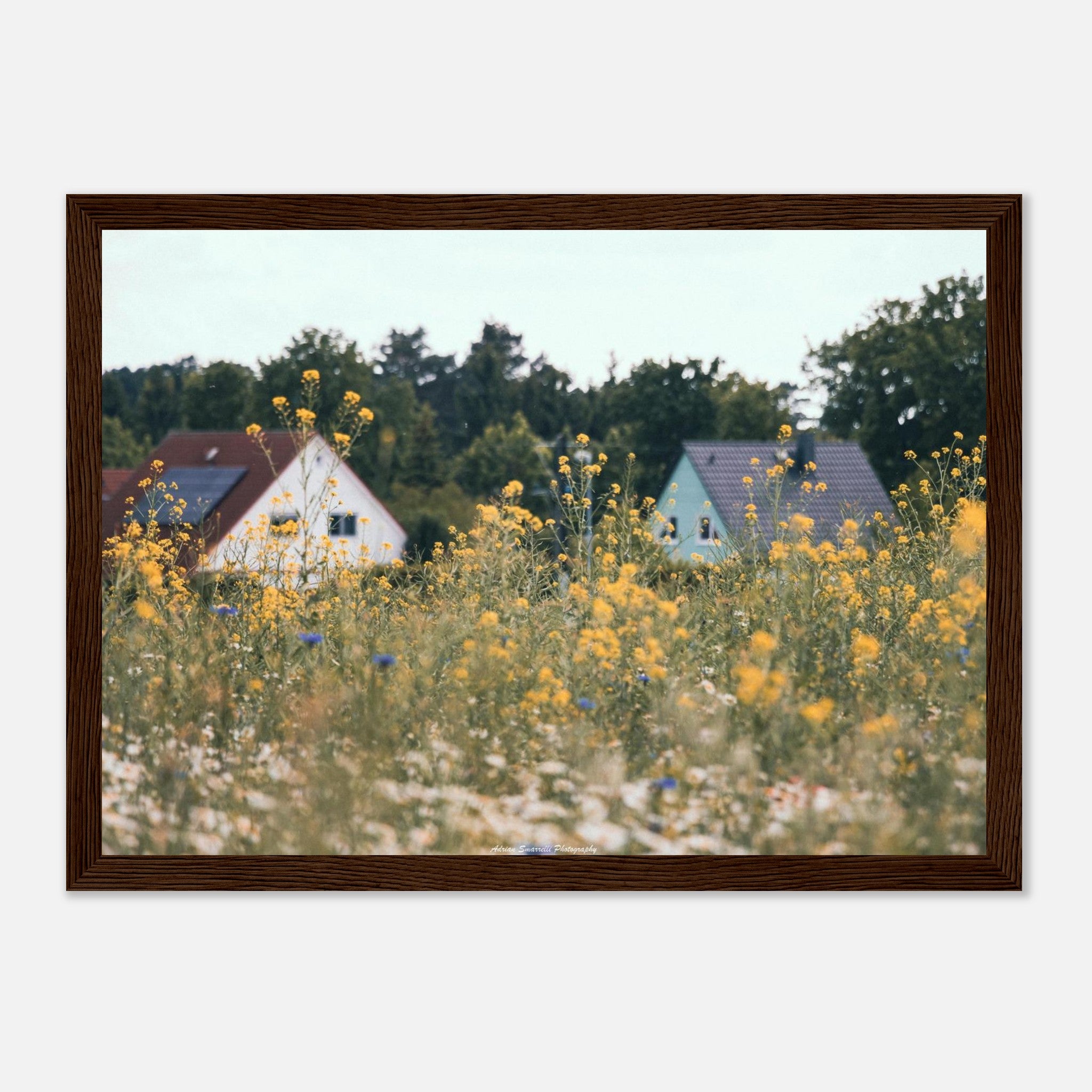 b4f39fc4-59ef-4923-bd33-e1519900cb1f