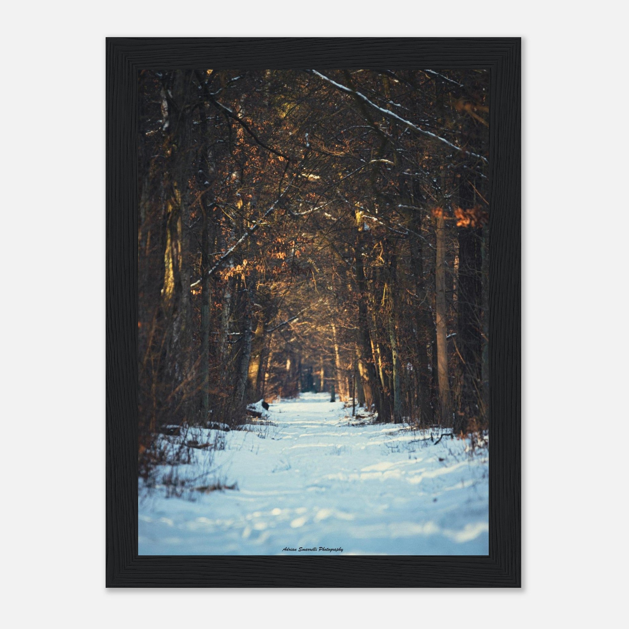 b5c25641-1a32-4d46-a5e1-6c18e7c62e6e